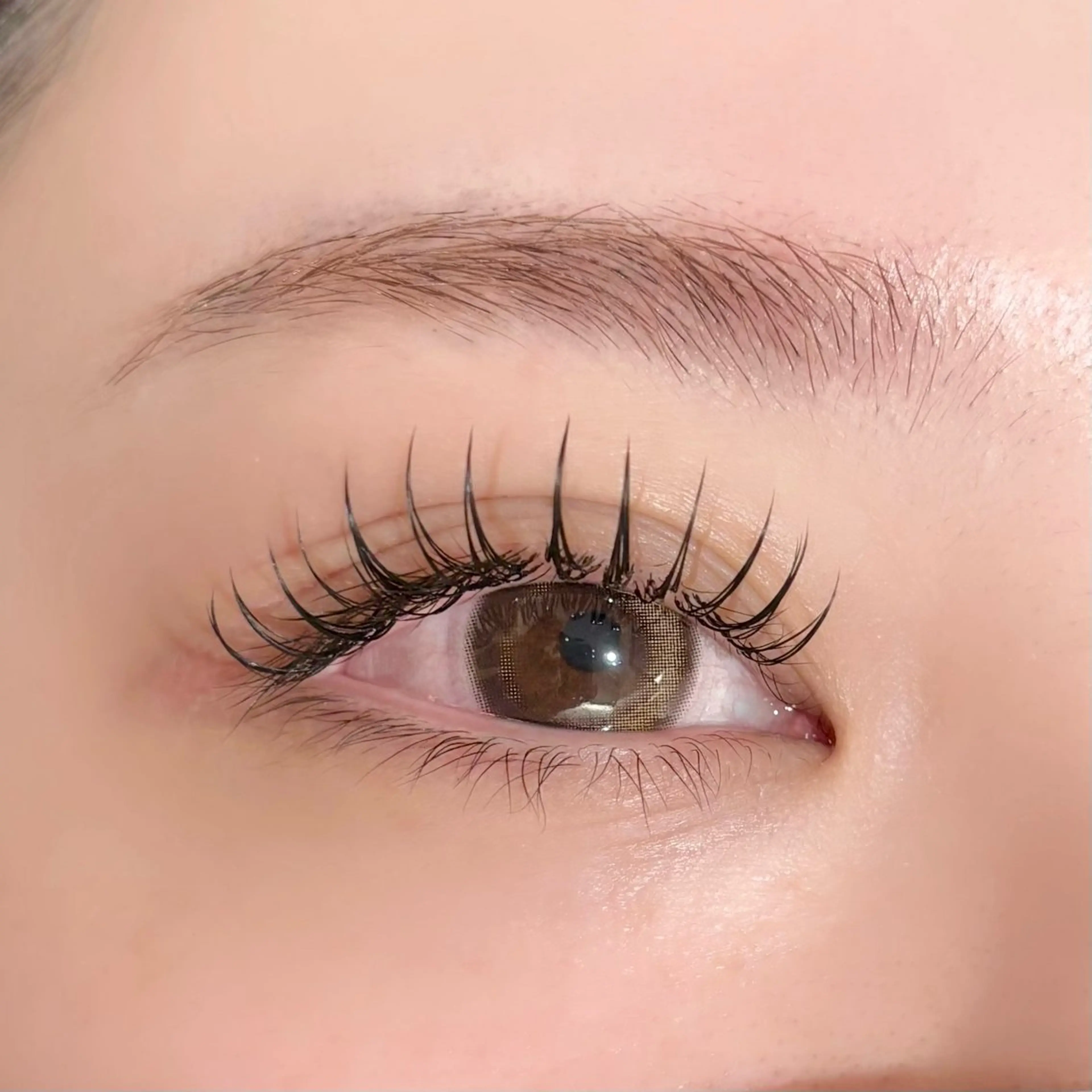 フラットラッシュ160本　ご新規様オフ無料の写真