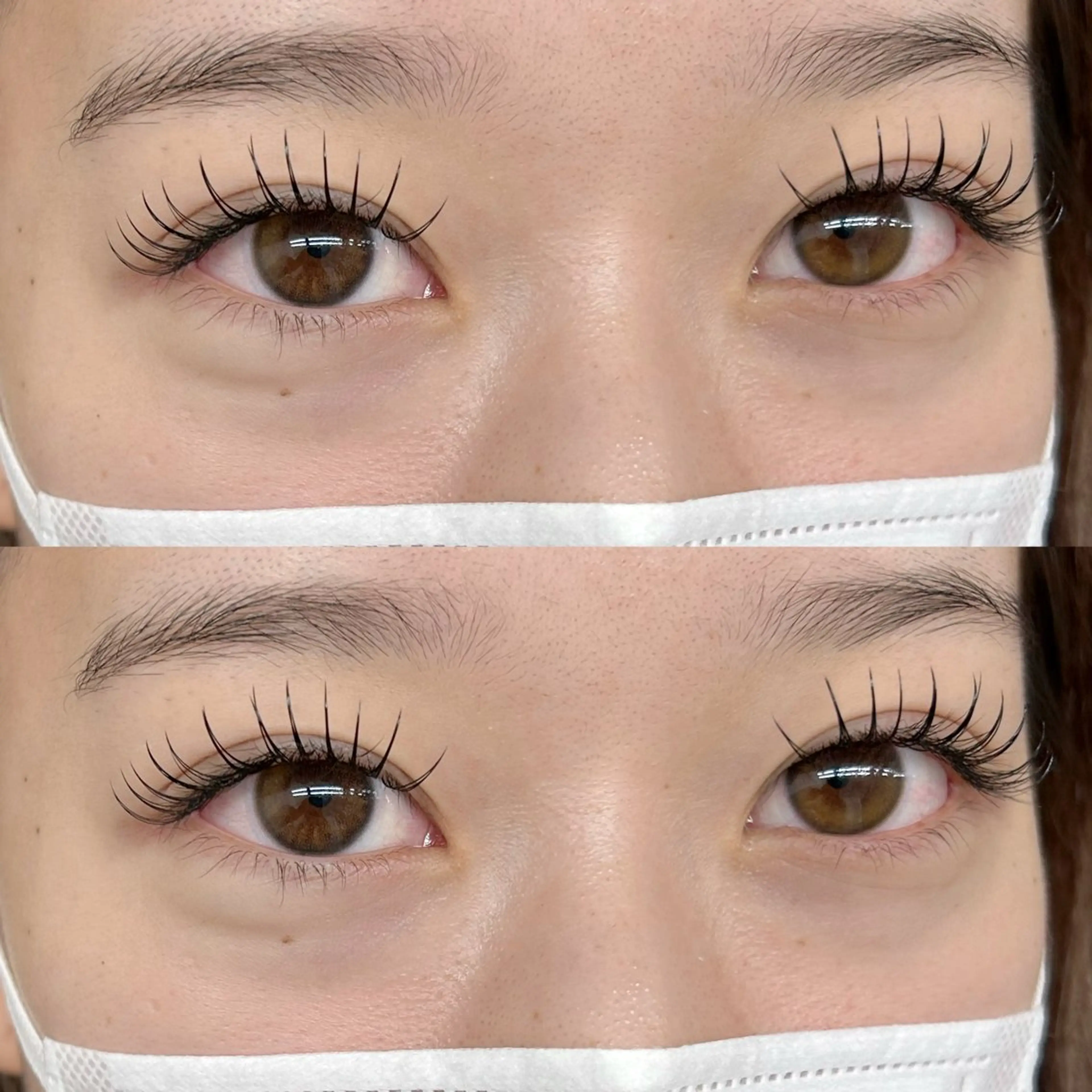 フラットラッシュ140本の写真