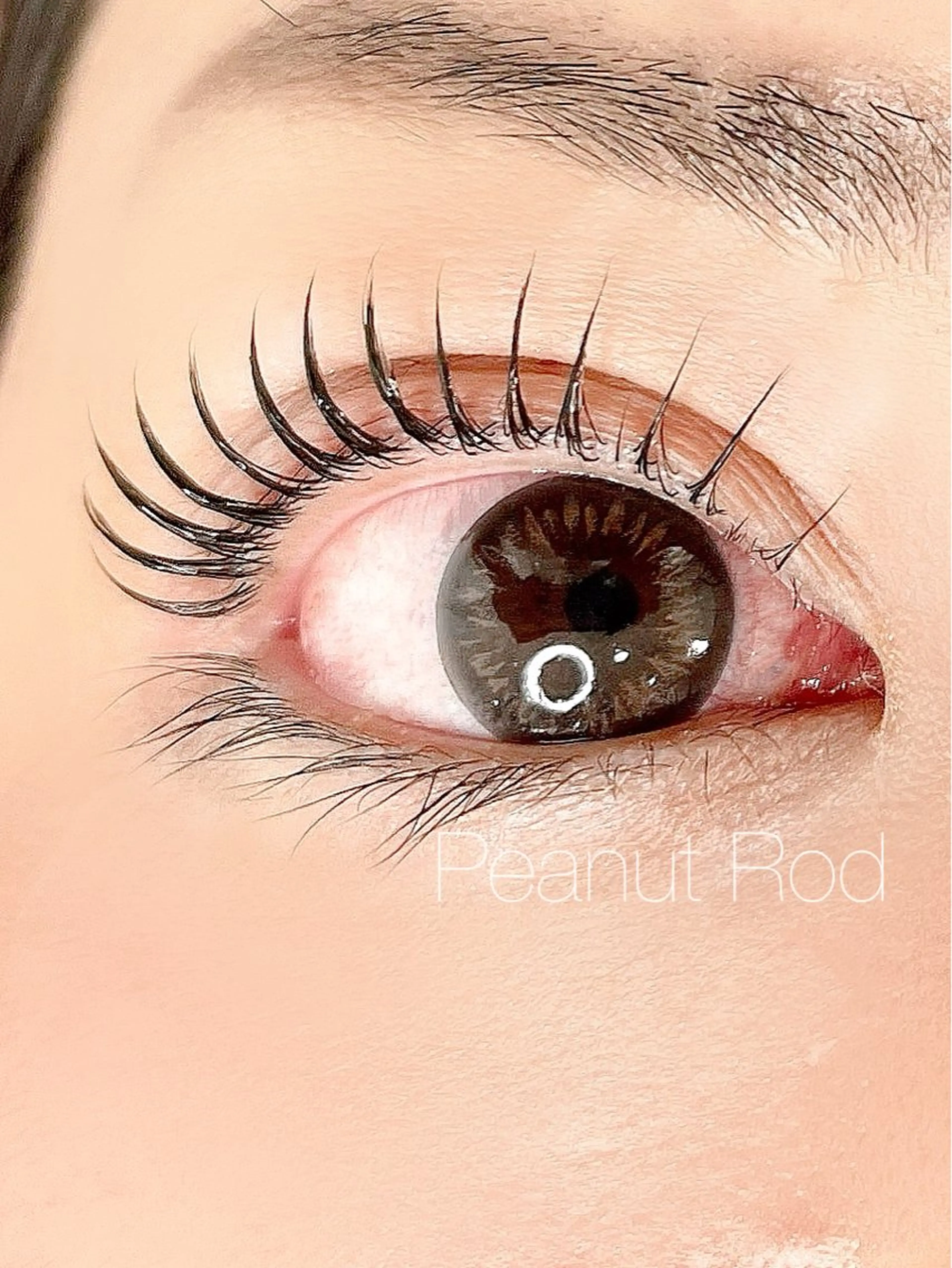 【毛質改善/プレミアトリートメント付】まつげパーマ/パリジェンヌ【4D】の写真