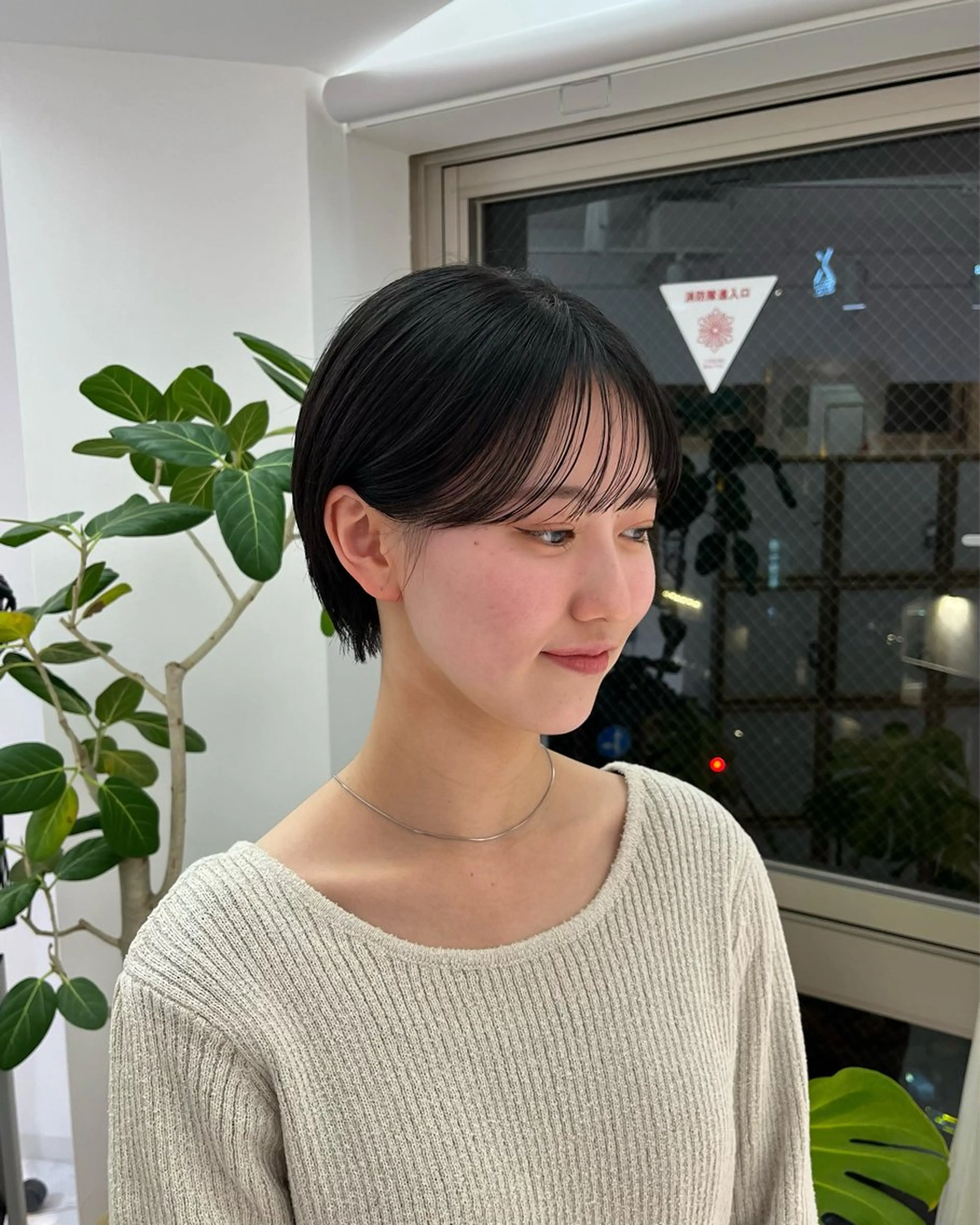 ショート ショートボブ ボブ ショートヘア 野中里紗/ ベージュカラーのヘアスタイル