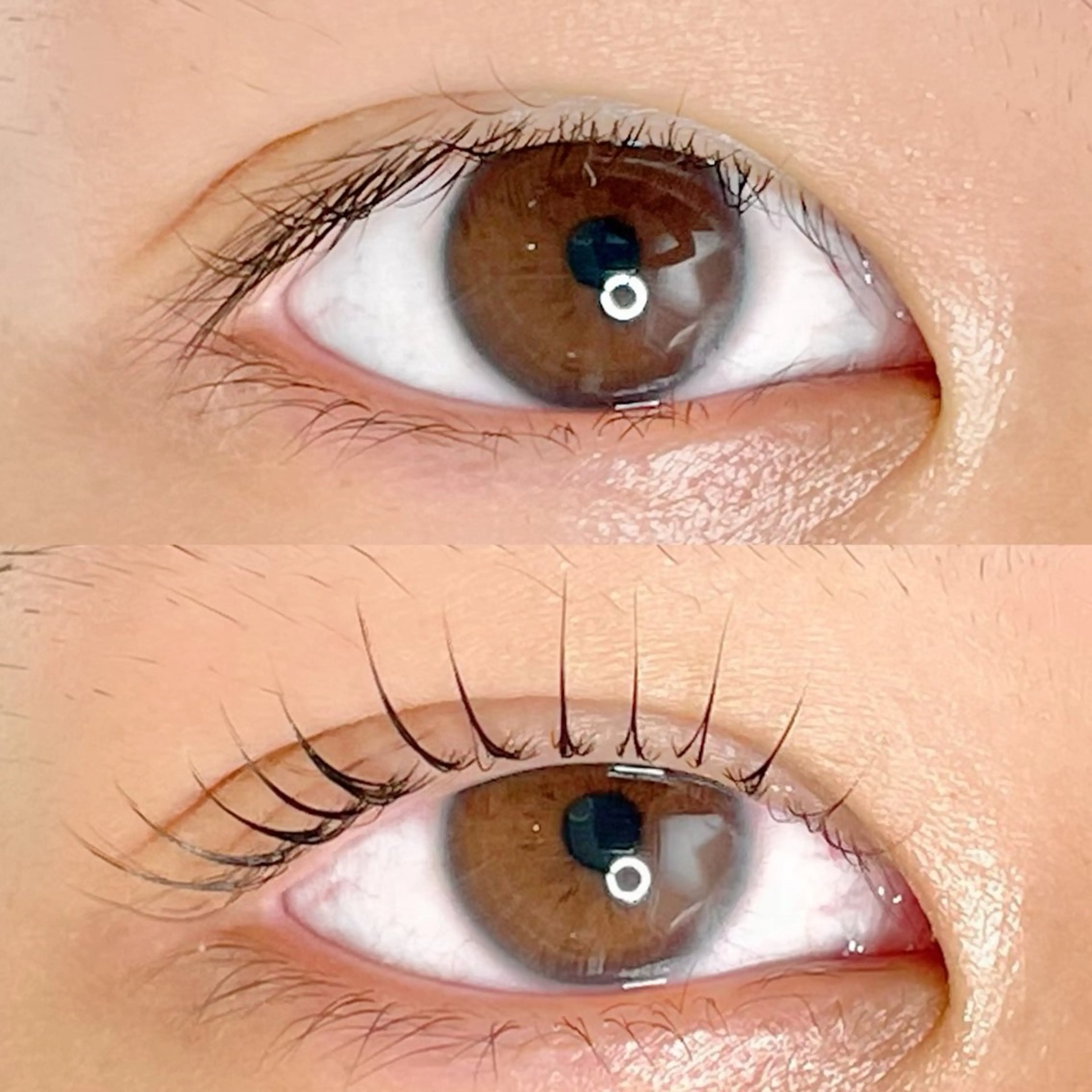 マツエク・マツパ マツパ AYLASH🧡 猪又のマツエク・マツパデザイン