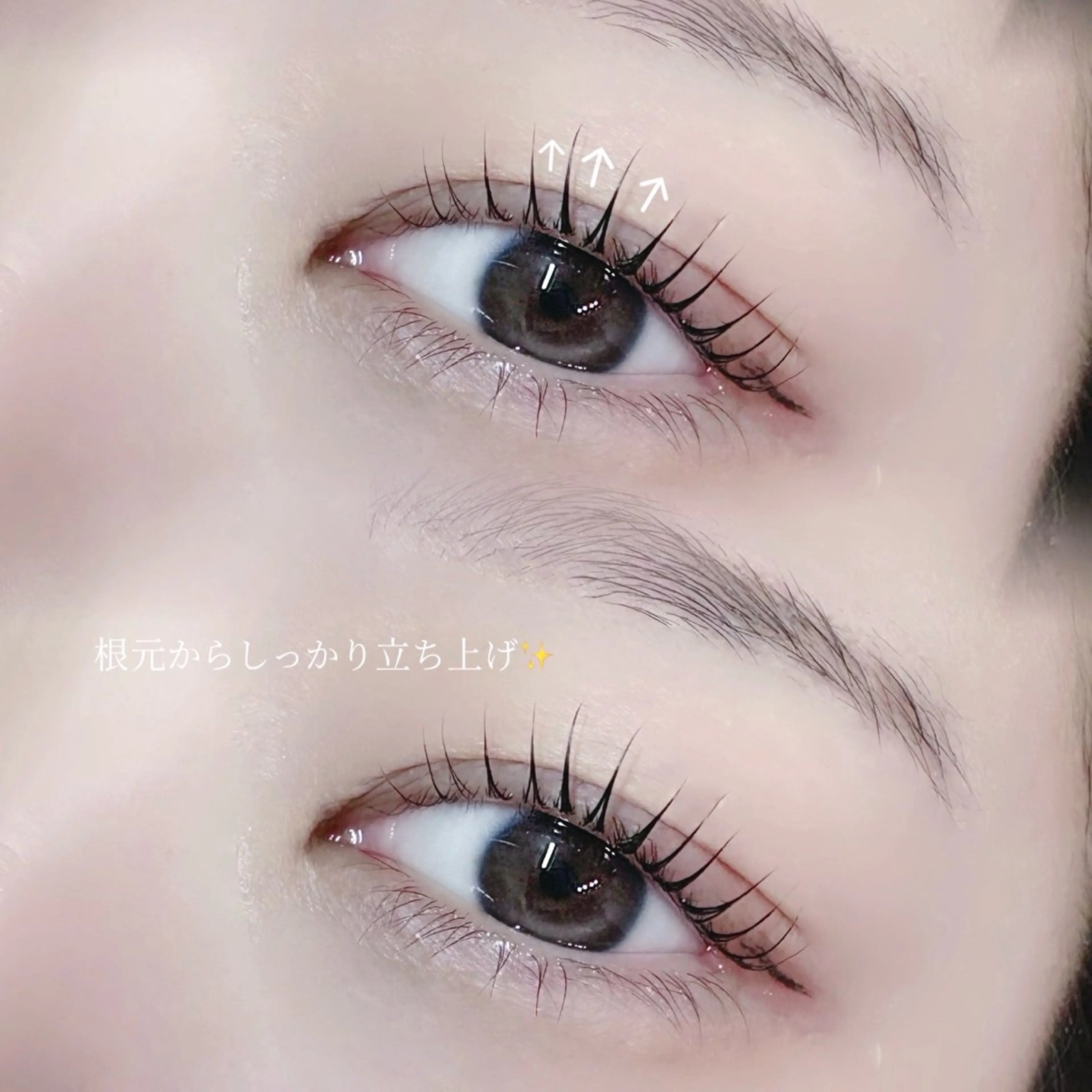 ラッシュリフト上のみの写真