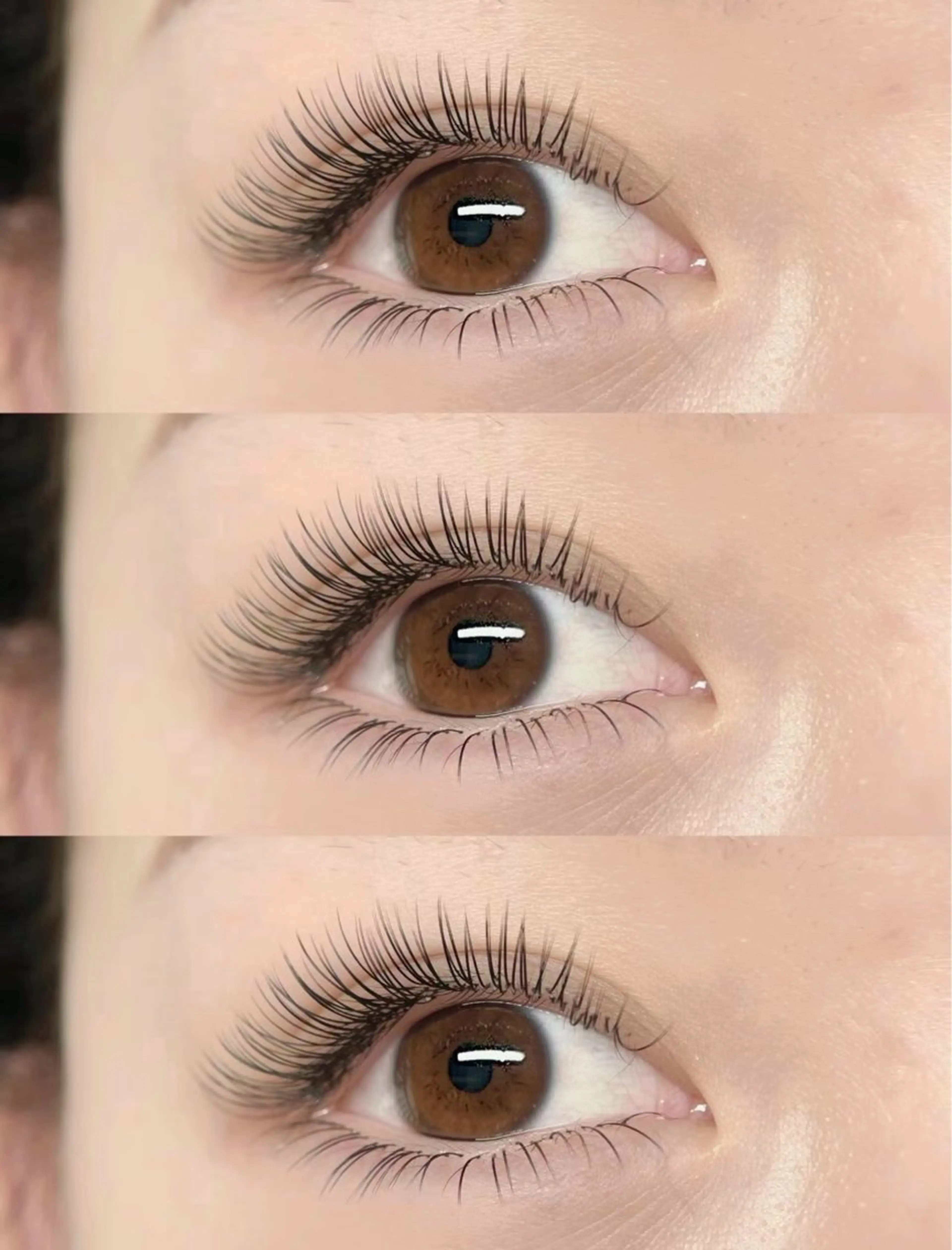 🫎ダブルフラットラッシュ✨100束5800円コラーゲンアイパック付・コラーゲン美容液付❣️の写真