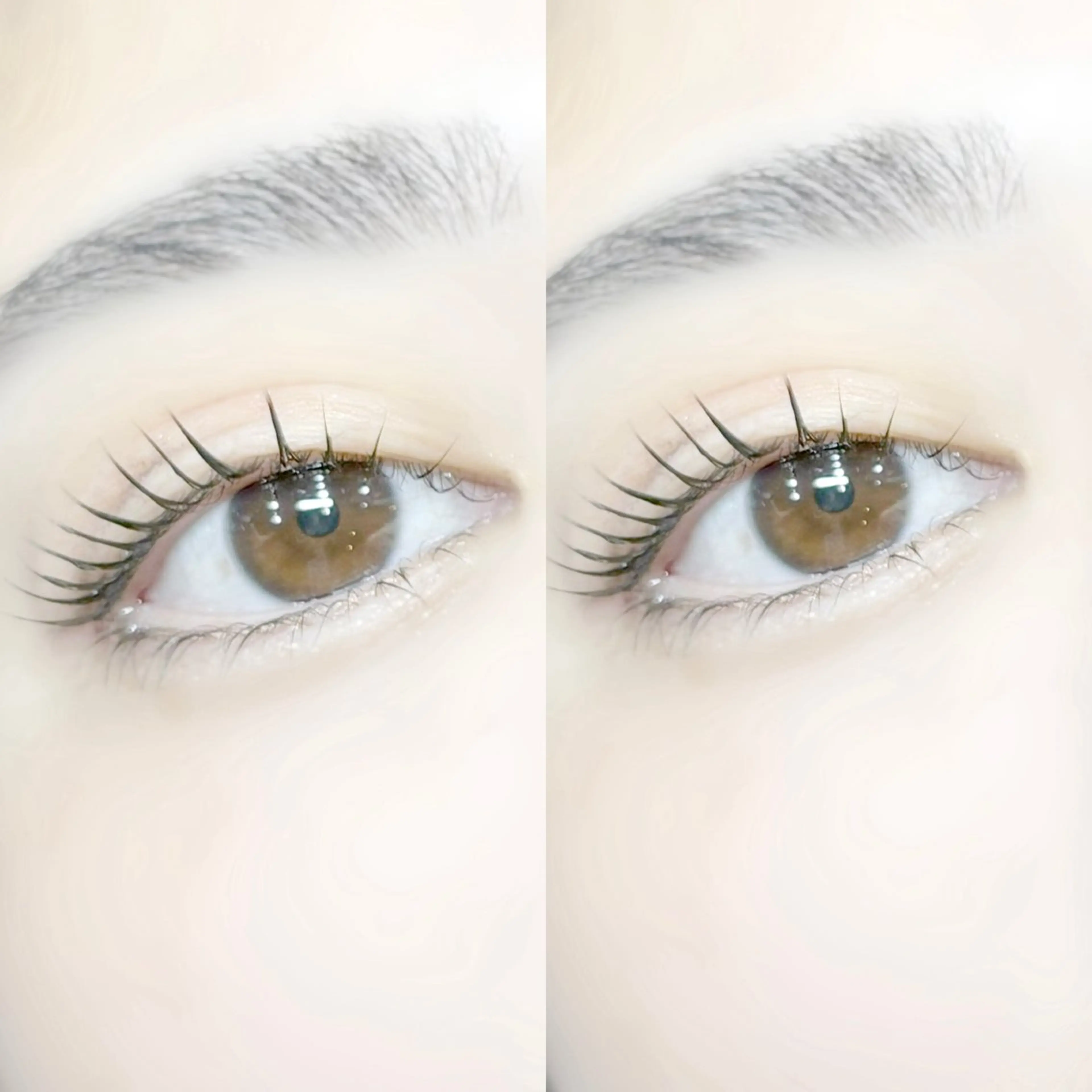 マツエク・マツパ TAKAHASHI 🎀✨韓国風/束感のマツエク・マツパデザイン