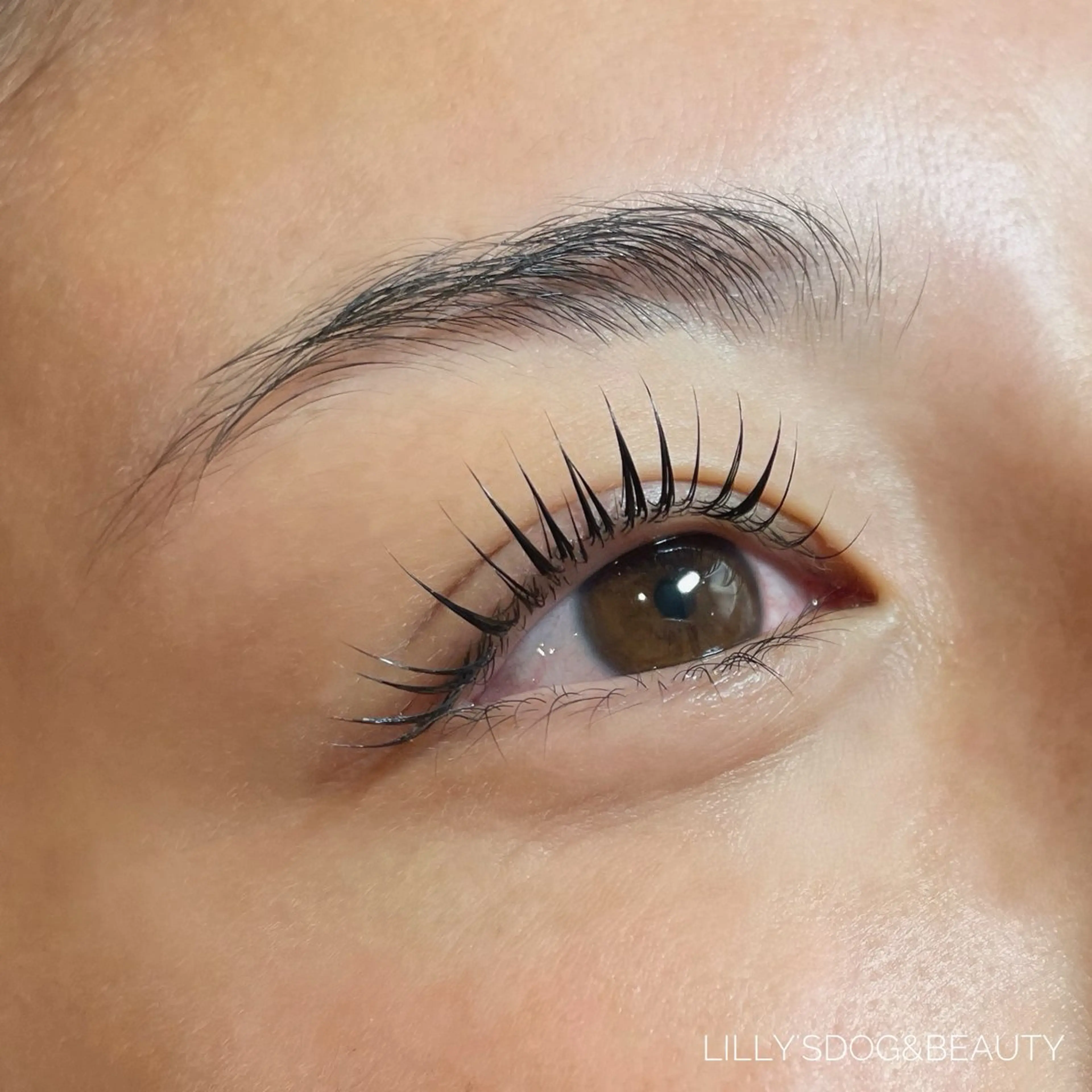 マツエク・マツパ マツパ Lily's ®️enaのマツエク・マツパデザイン