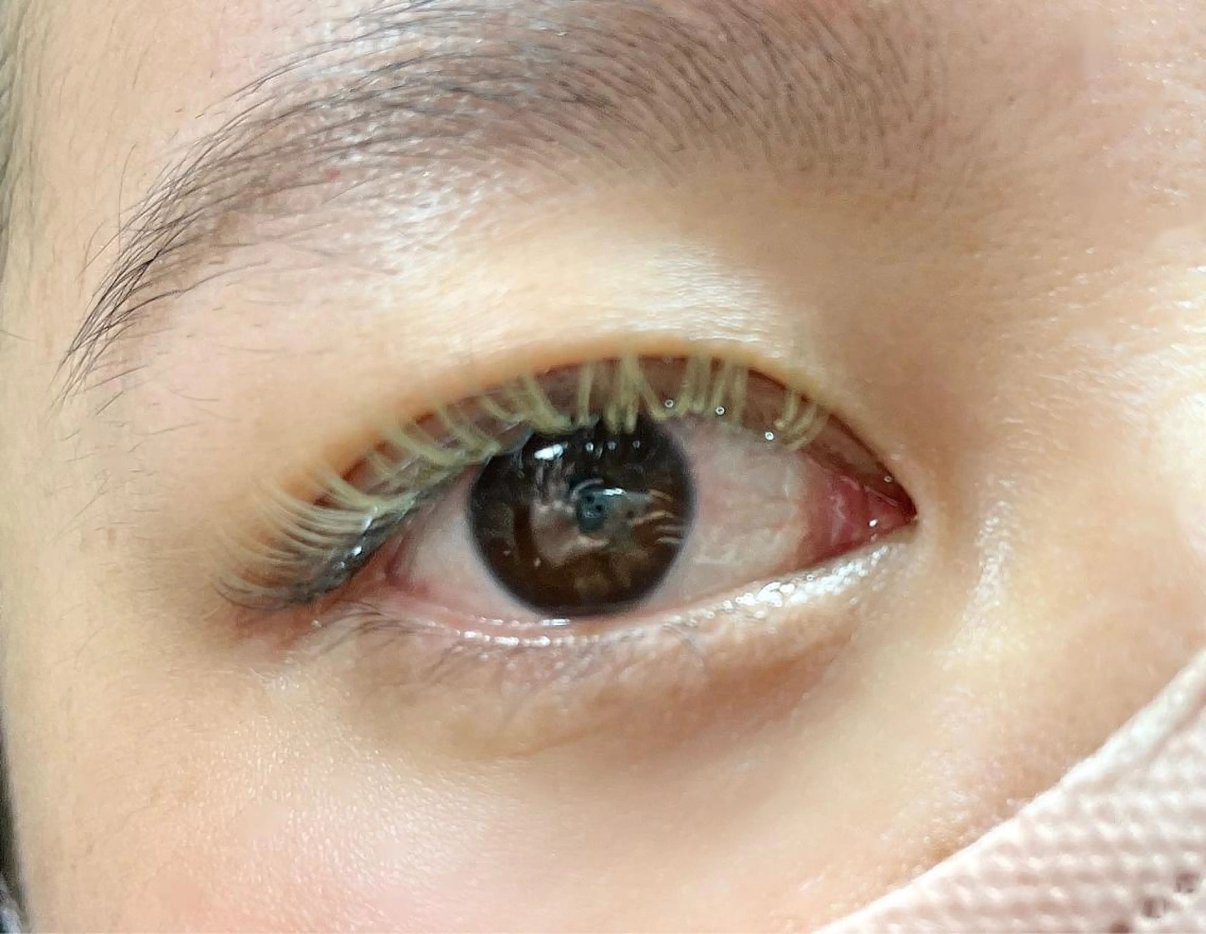 ネイル マツエク・マツパ プライベートサロン tieleのマツエク・マツパデザイン