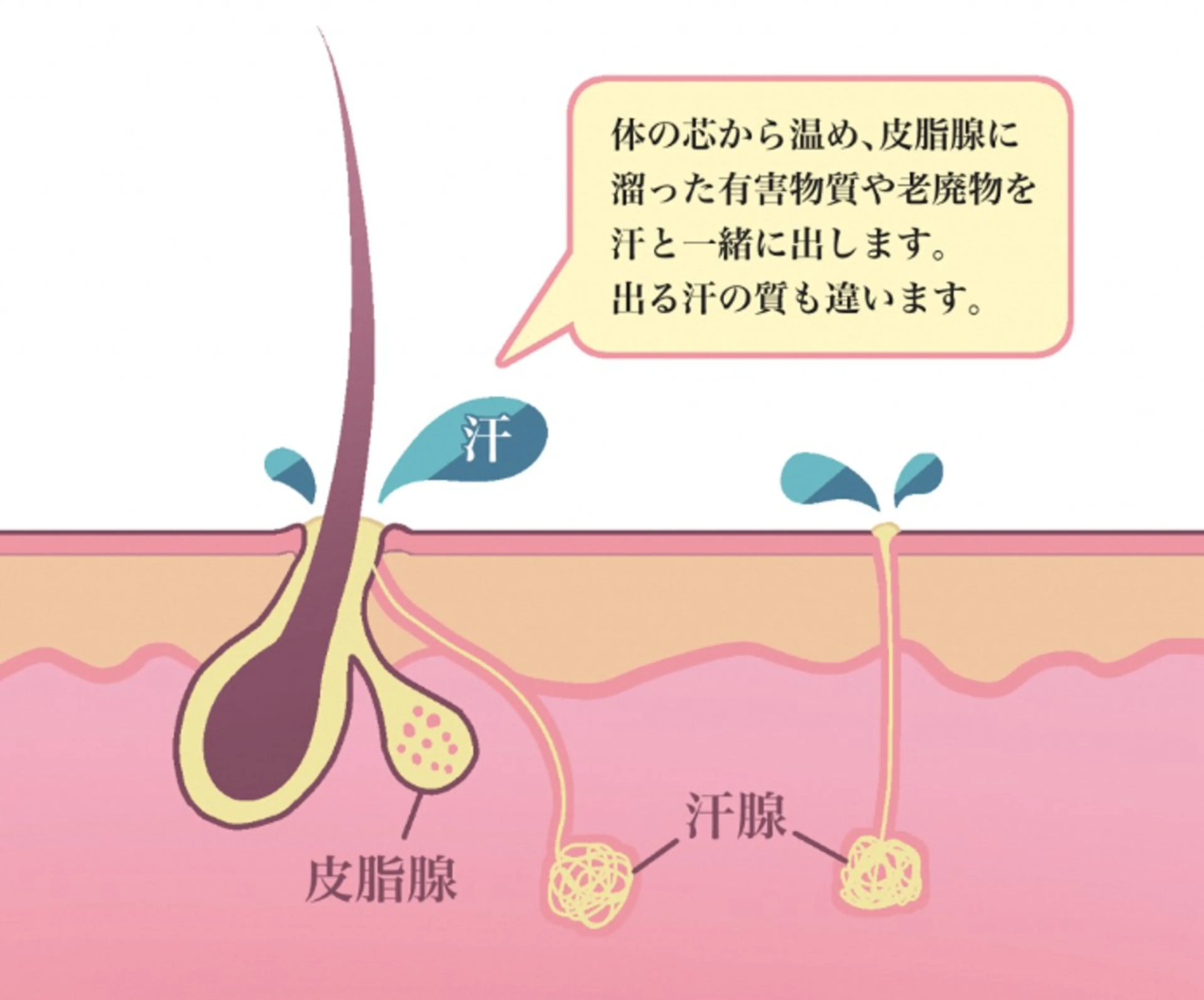 ヨサパーク  ルフ楢原店所属・水素×よもぎ蒸し YOSAPARKルフのエステ・リラクイメージ