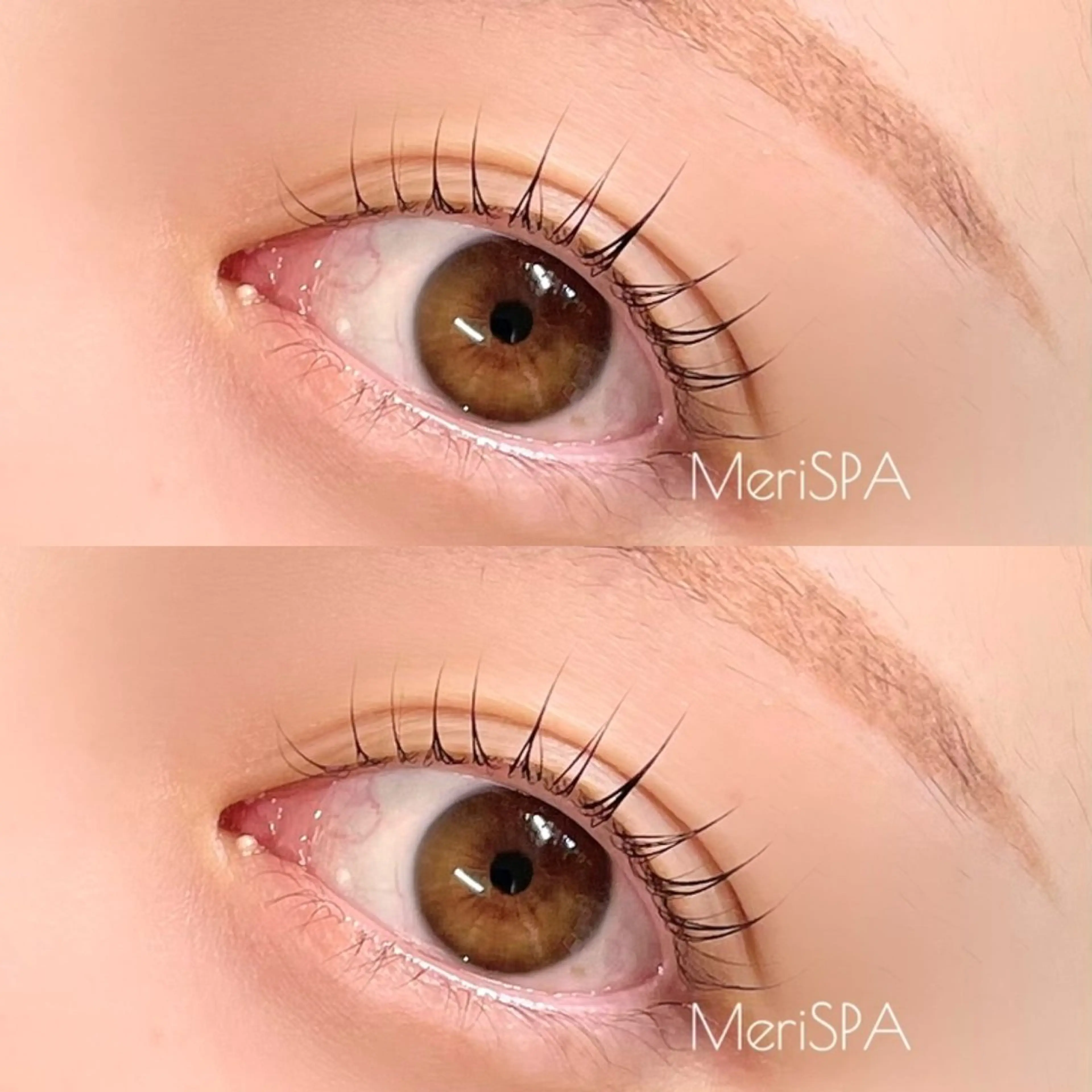 【ミニモ学割✨まつげパーマorパリジェンヌ🎀+持続力UPコーティング】の写真