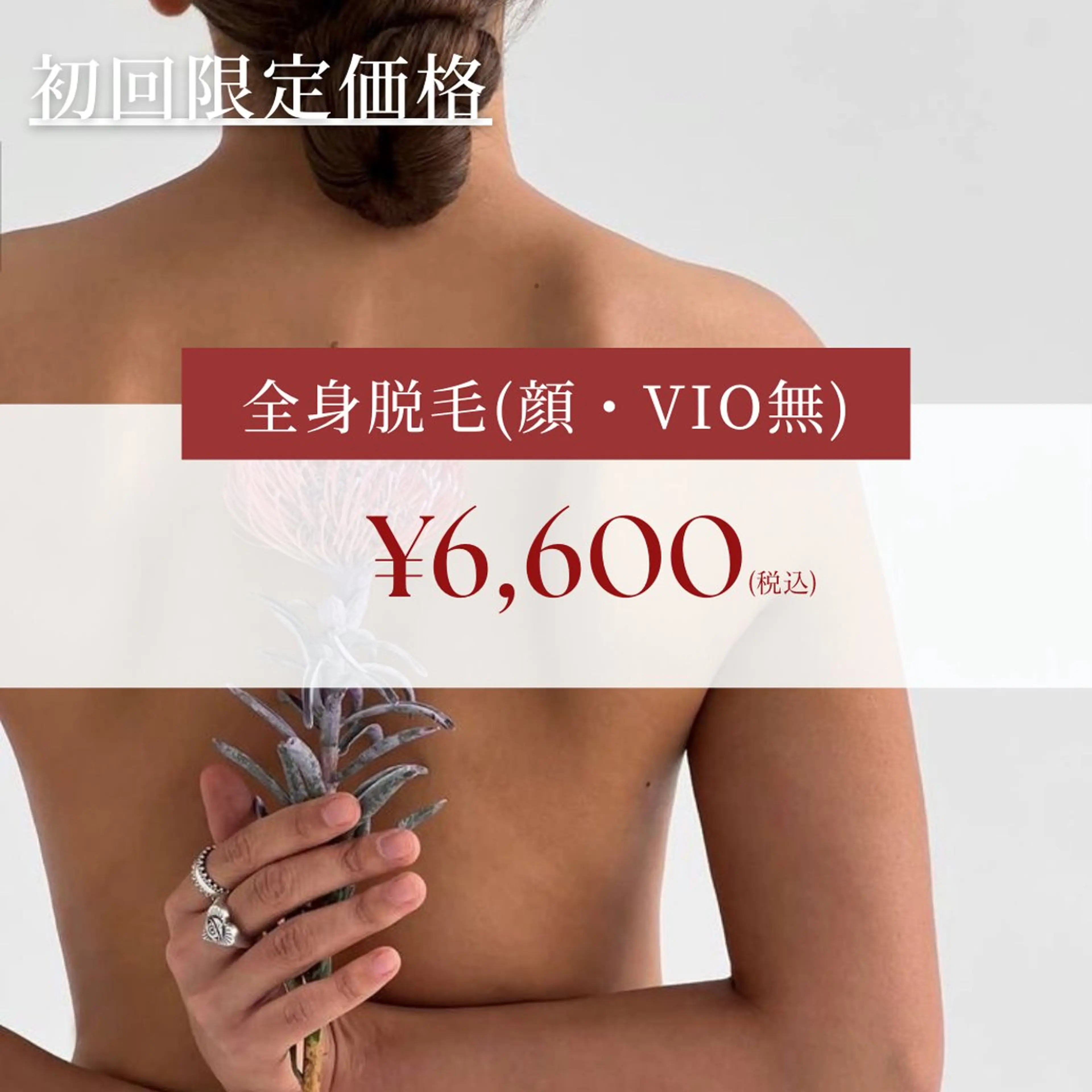 Lassy Yuriの眉毛・アイブロウイメージ