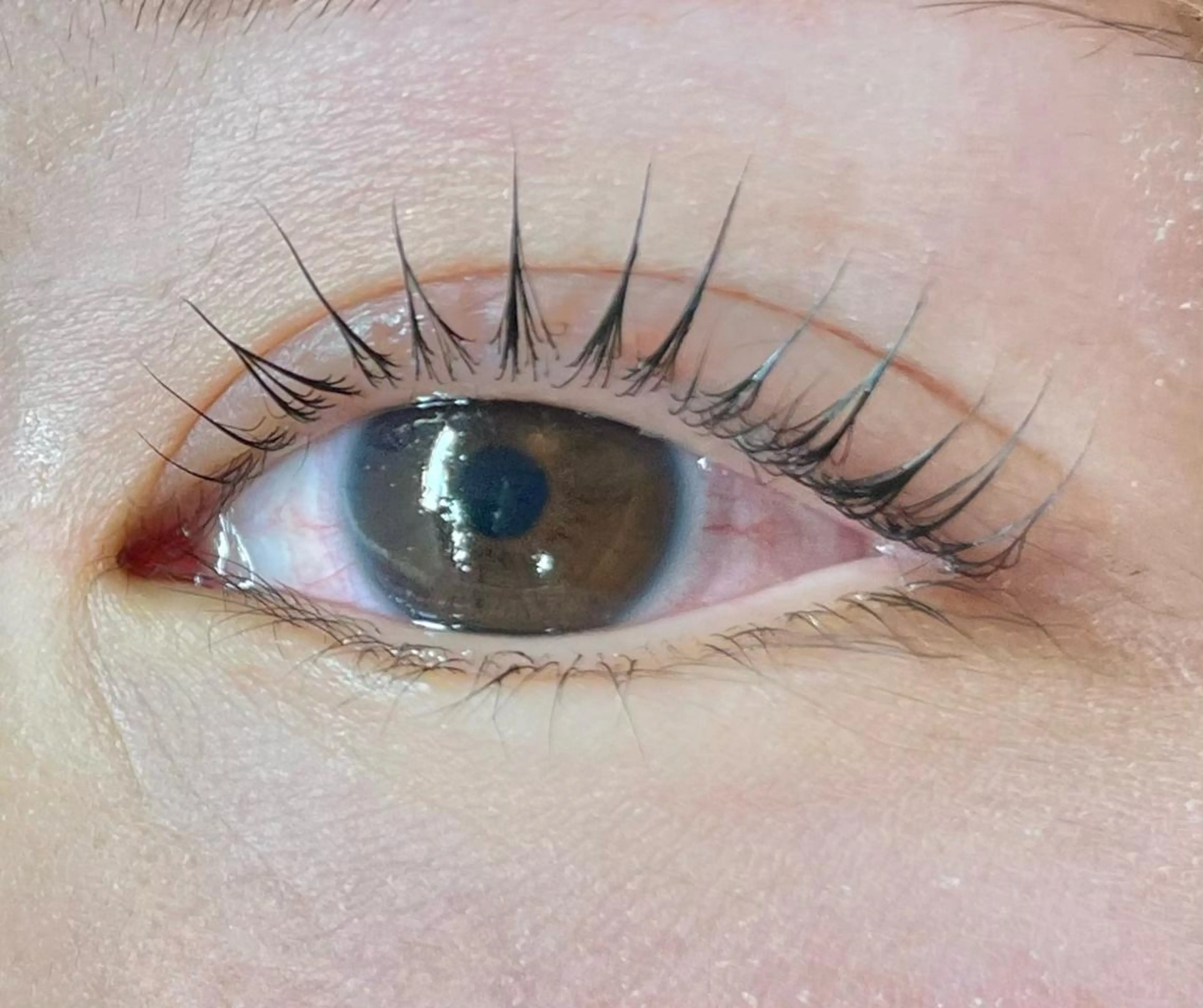 マツエク・マツパ パリジェンヌラッシュリフト anela MOMOKA🎀のマツエク・マツパデザイン