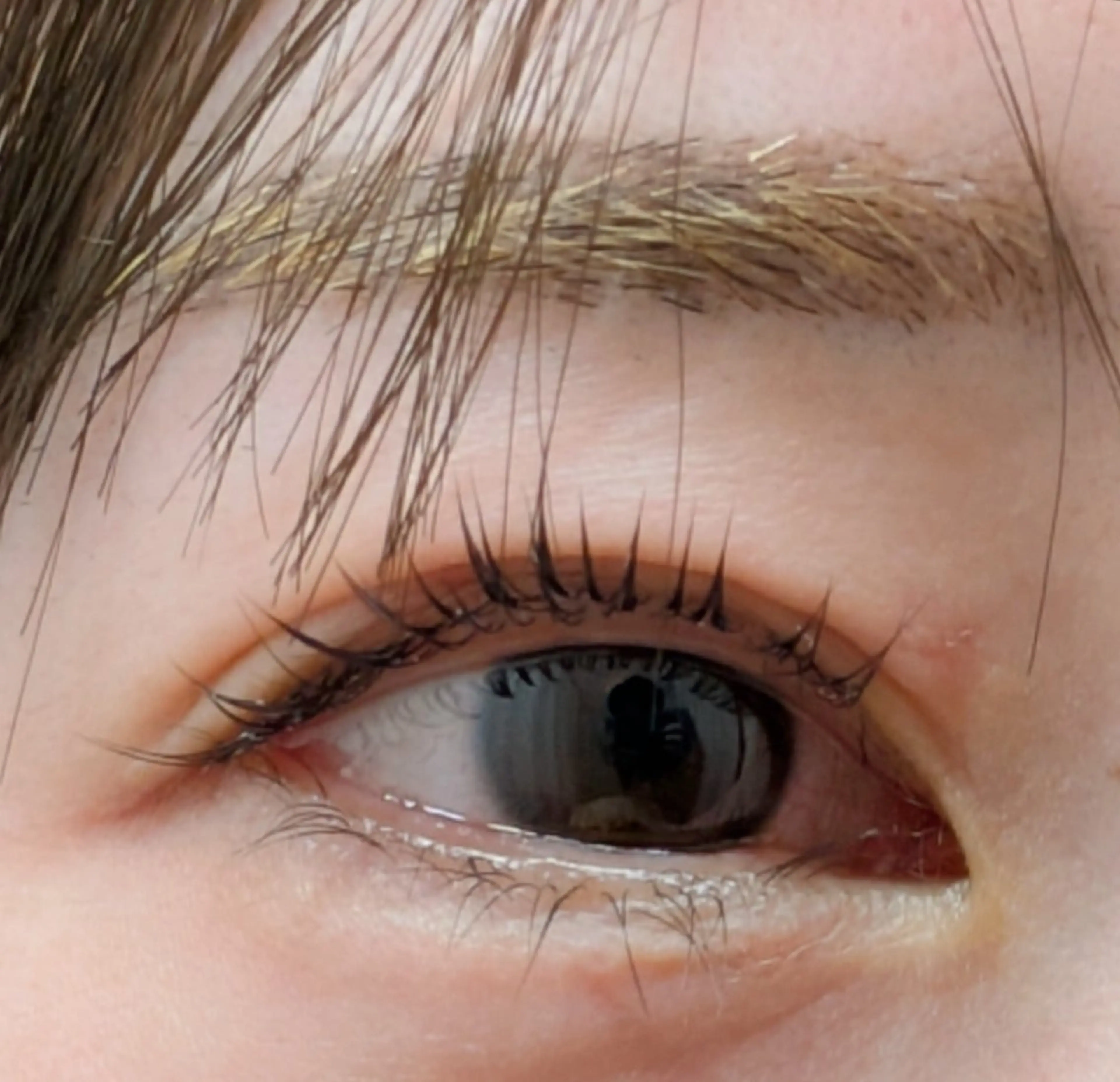 マスカラオフあり・上まつ毛・カールデザインのみ〉まつ毛パーマ✨の写真