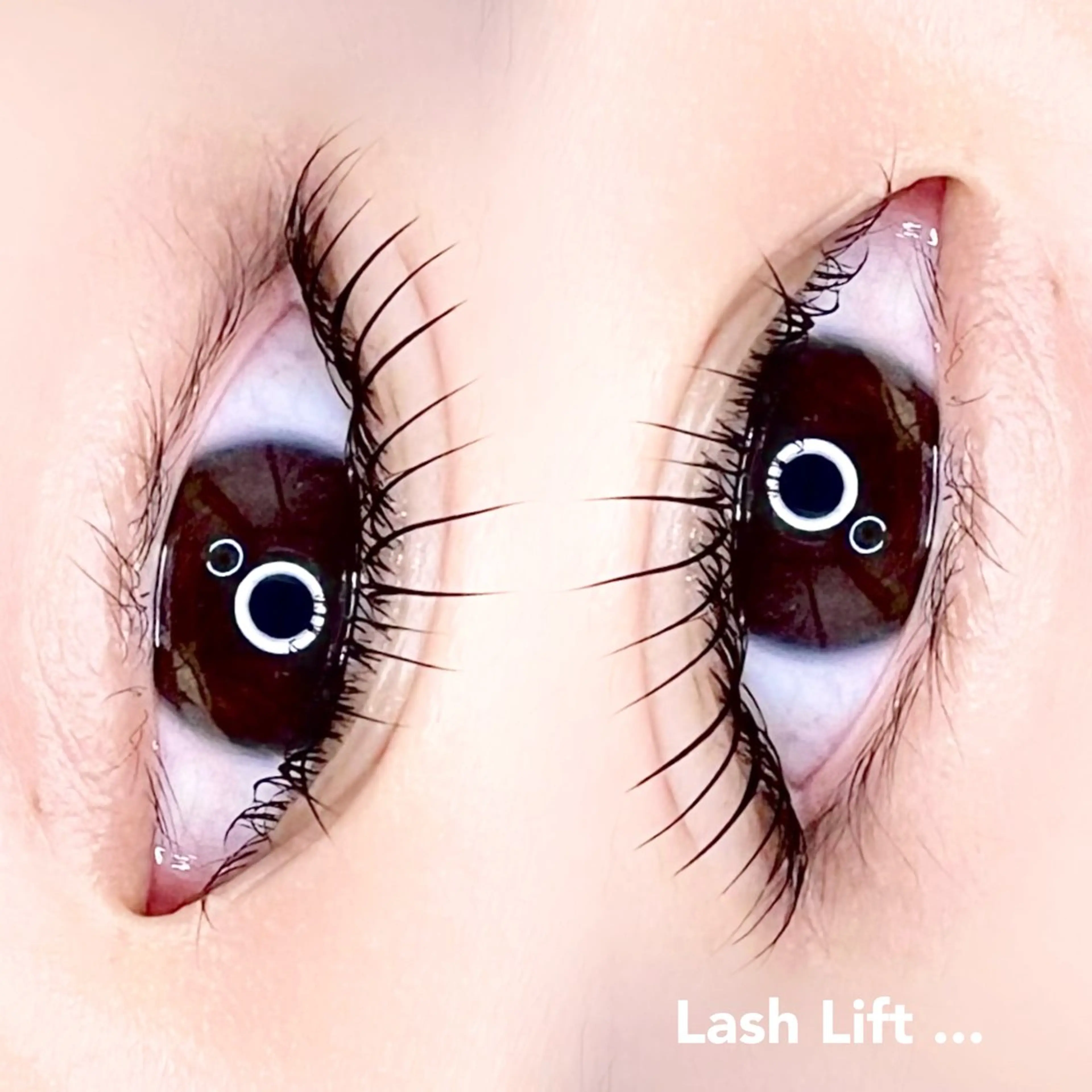 マツエク・マツパ Madonna Lilyのマツエク・マツパデザイン