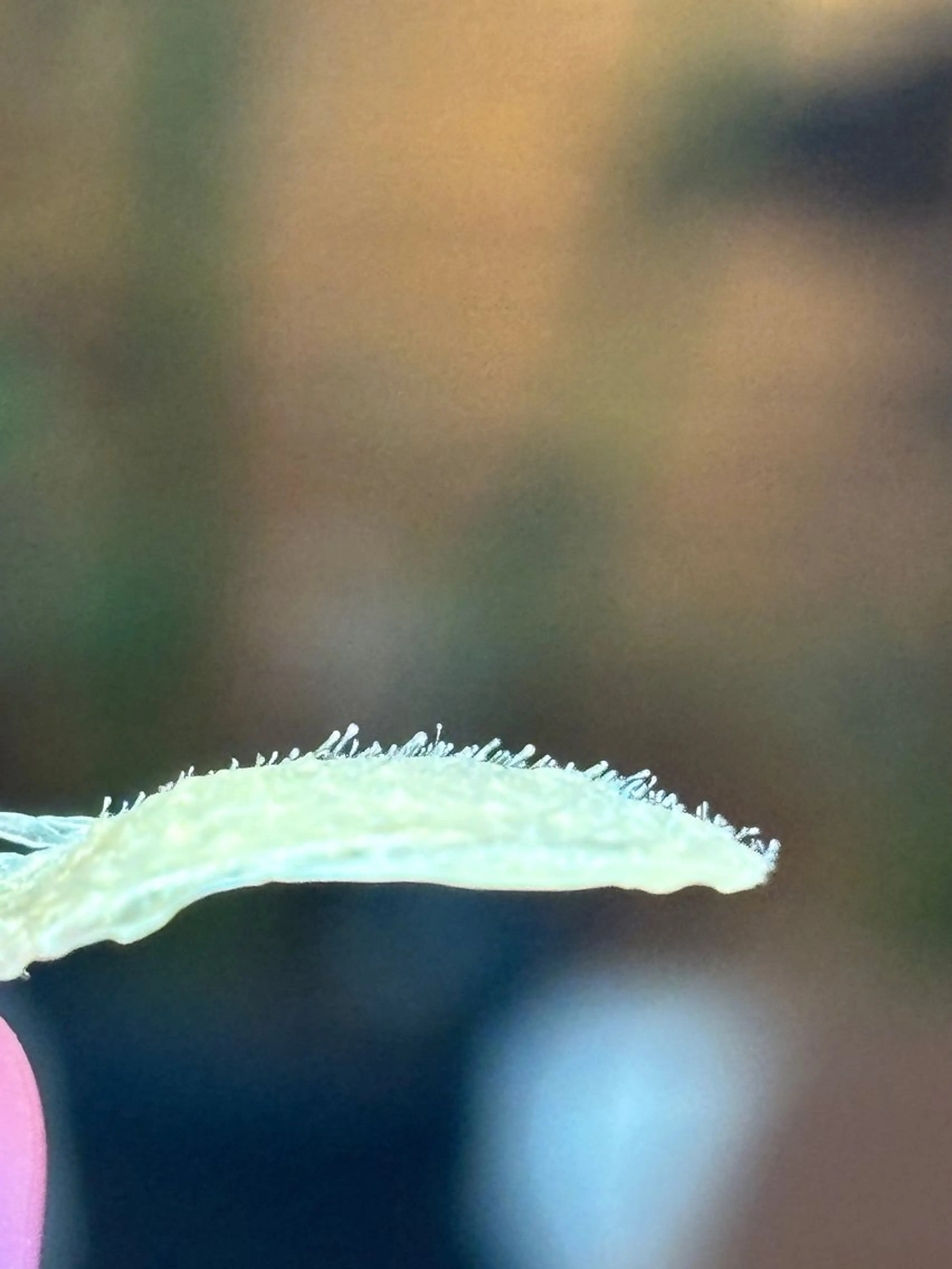 その他 sourire.11 ‪☺︎‬‪emiのエステ・リラクイメージ
