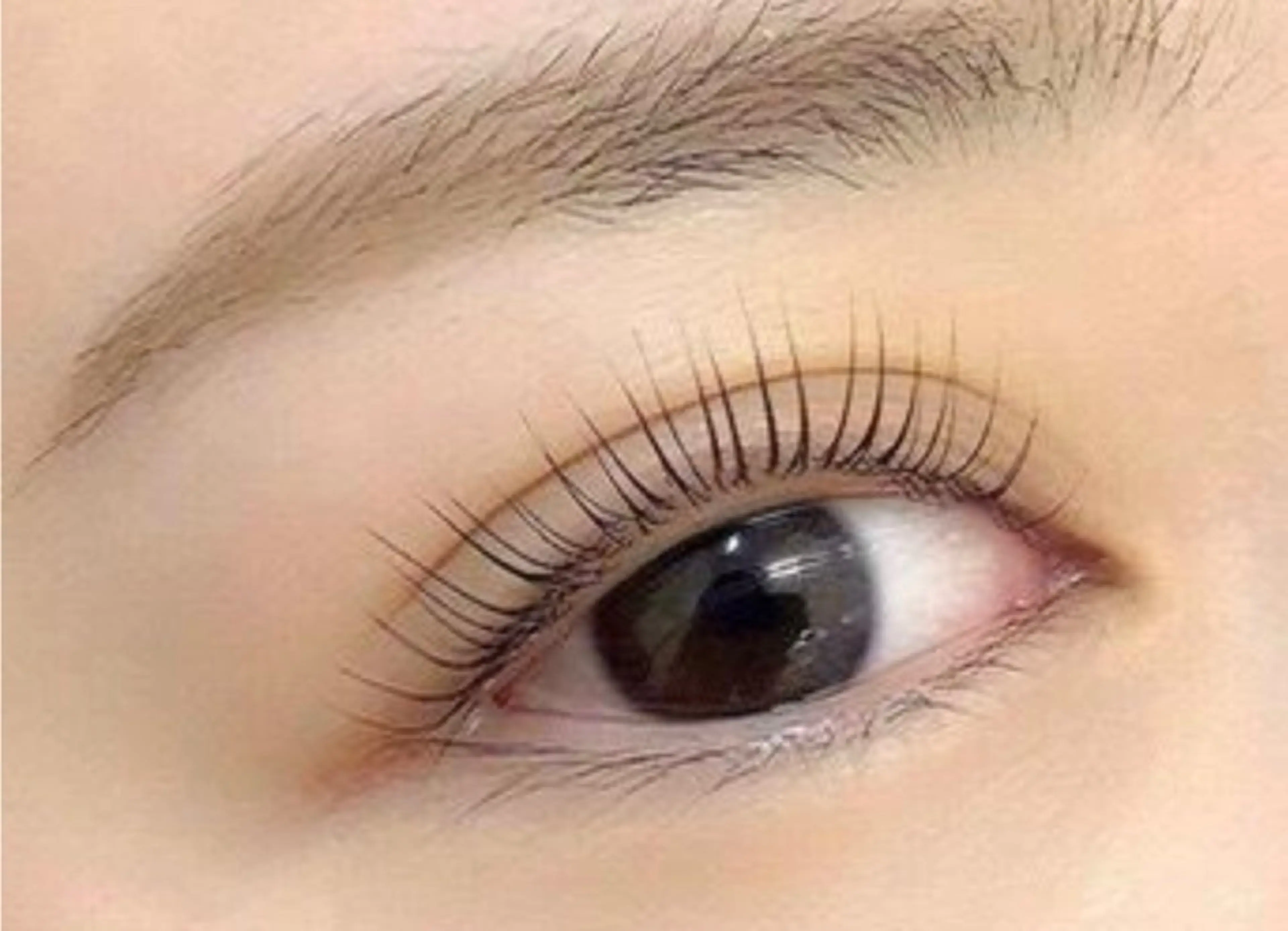 パリジェンヌ(立ち上げ×微カール)の写真