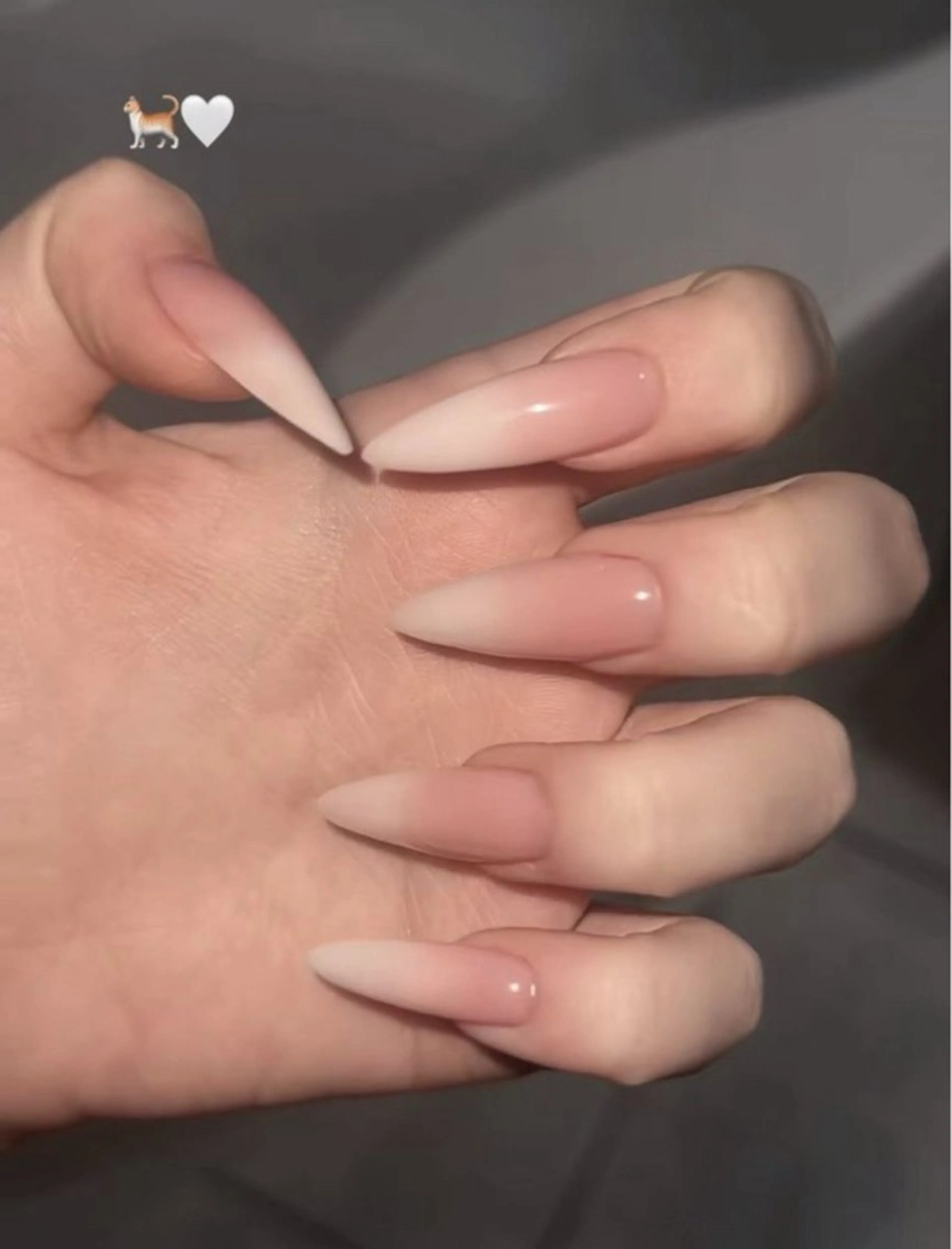 ネイル 長さ出し グラデーション キラキラネイル マグネットネイル ニュアンスネイル ハンドネイル Lee Nails チップ長さだし専門店のネイルデザイン