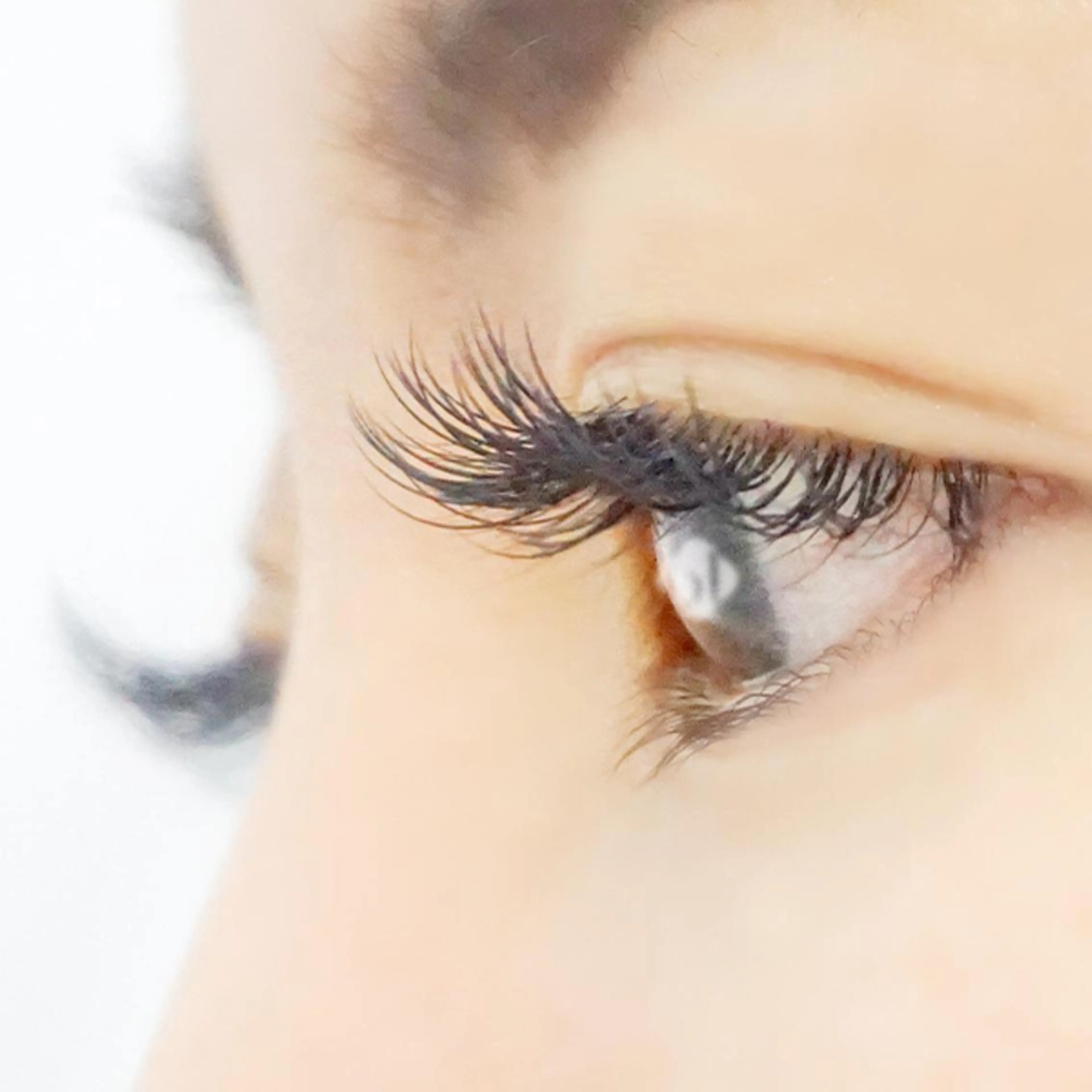 マツエク・マツパ 付け放題 フラットラッシュ 佐々木 瞳のマツエク・マツパデザイン