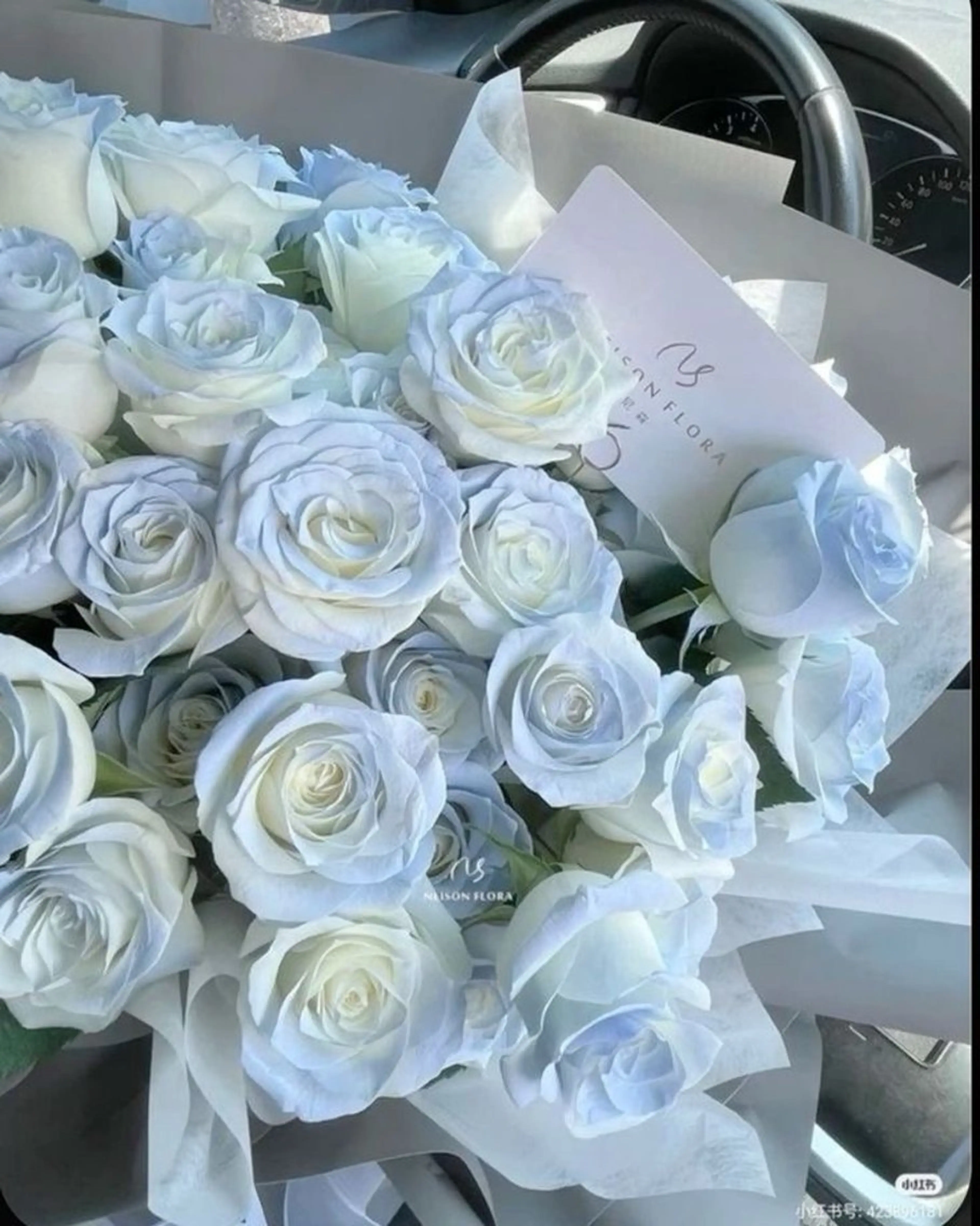 Bianca 銀座 Hinanoのネイルデザイン