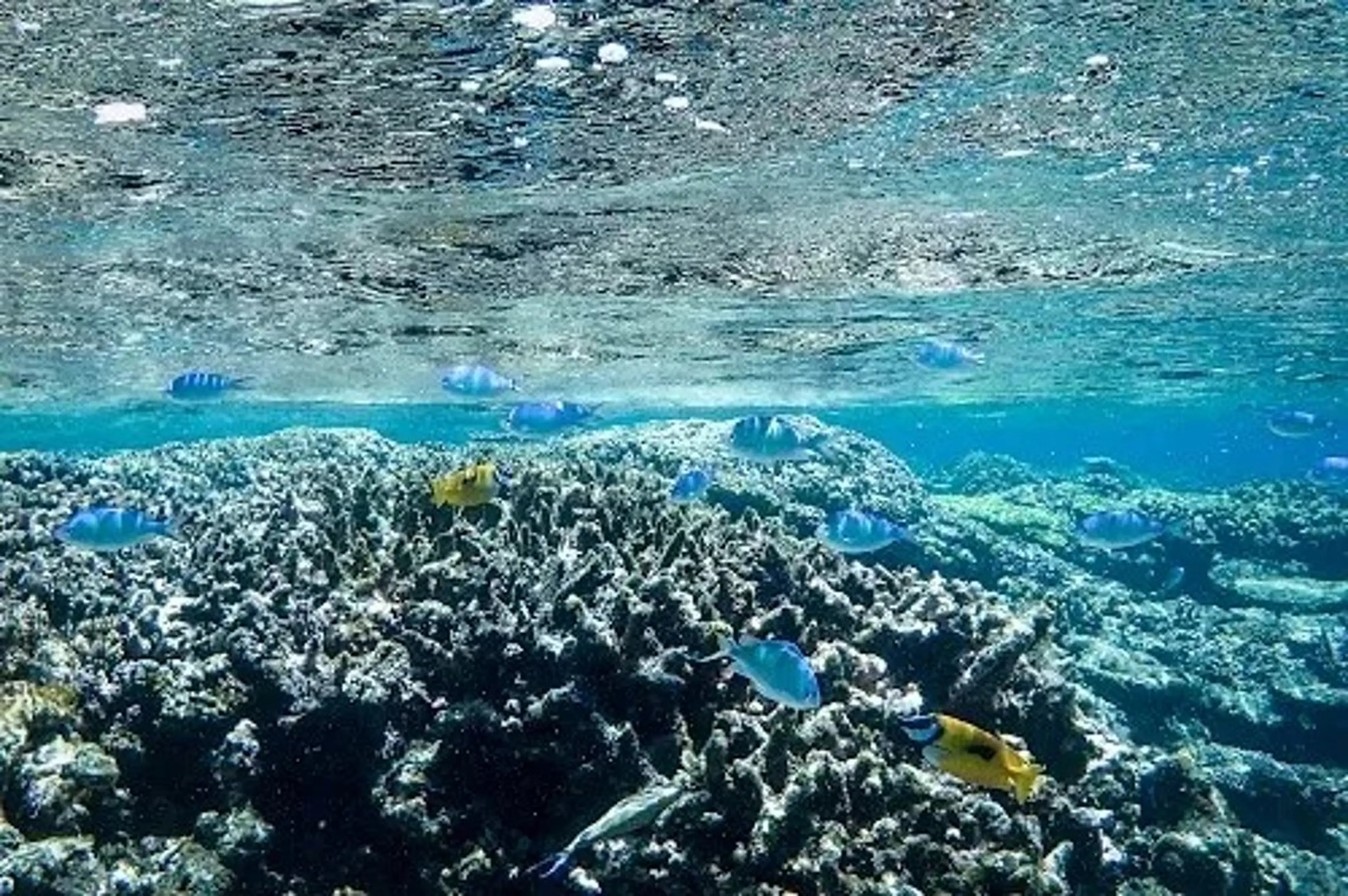 Bianca溝の口 INOMATAのマツエク・マツパデザイン