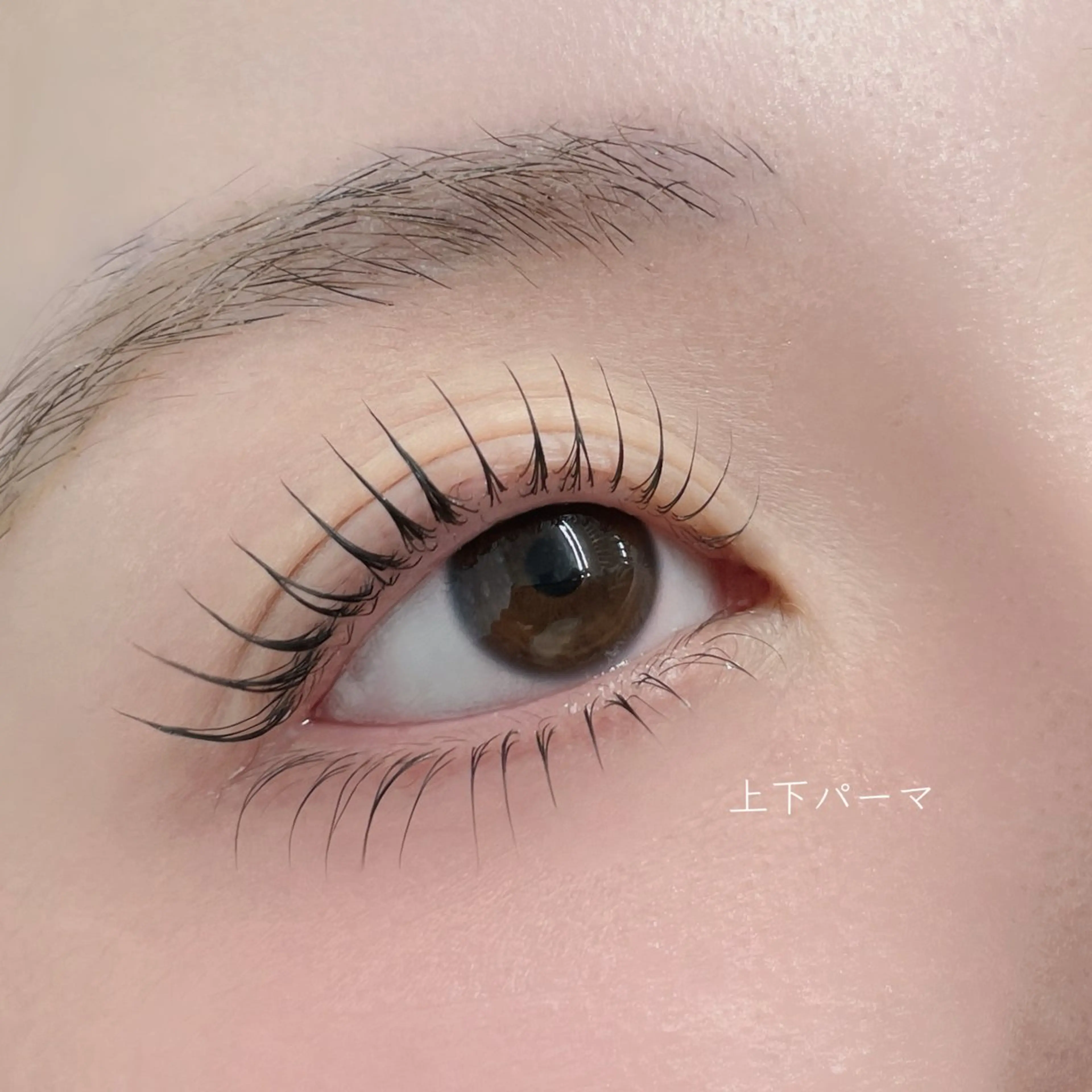 マツエク・マツパ フラットラッシュ 韓国風マツエク パリジェンヌラッシュリフト まつげパーマ 一重×まつ毛パーマ マツパ mai /マツパ.眉のマツエク・マツパデザイン