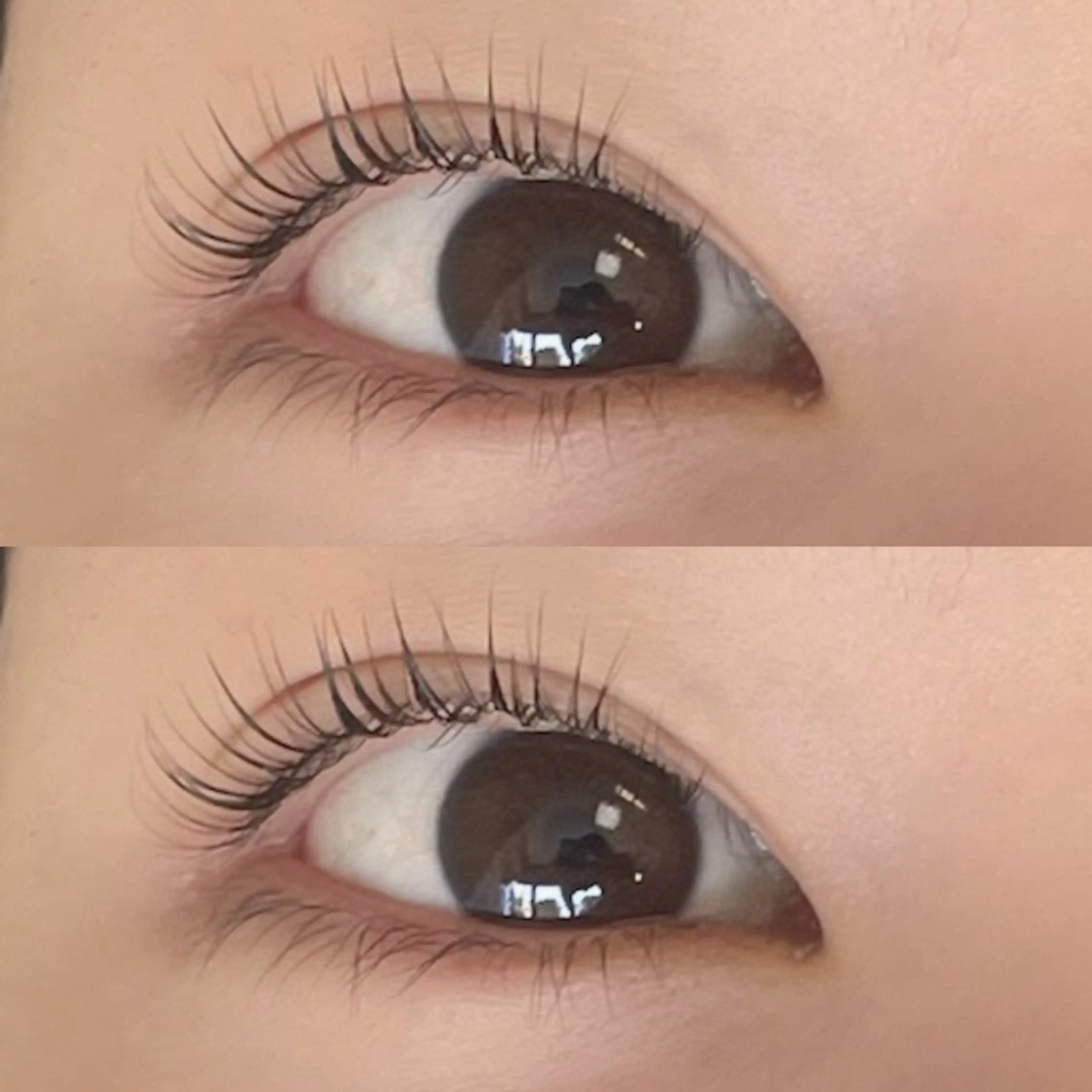 🦋ミニモ限定🦋500円off🫧パリジェンヌラッシュリフト🫧トリートメント仕上げ👀🩵町田／駅近/マツパの写真