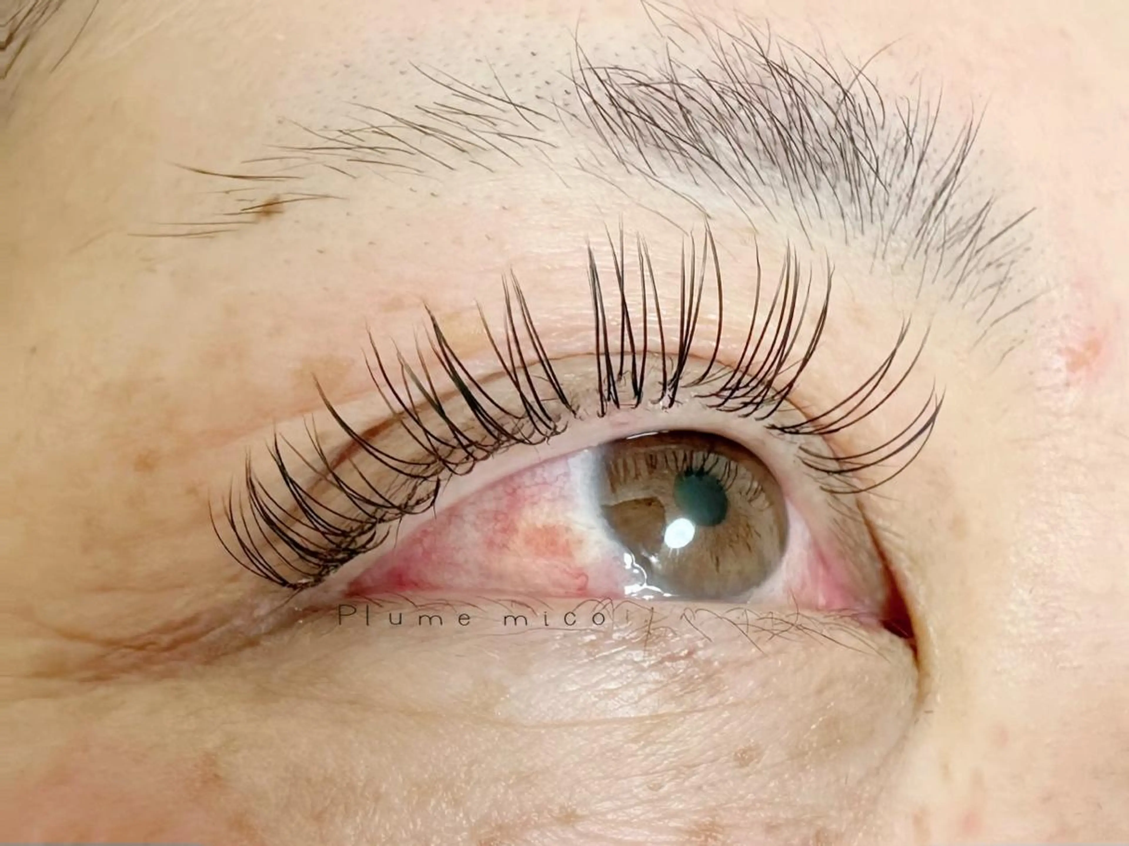 マツエク・マツパ マツエク Plume micoのマツエク・マツパデザイン