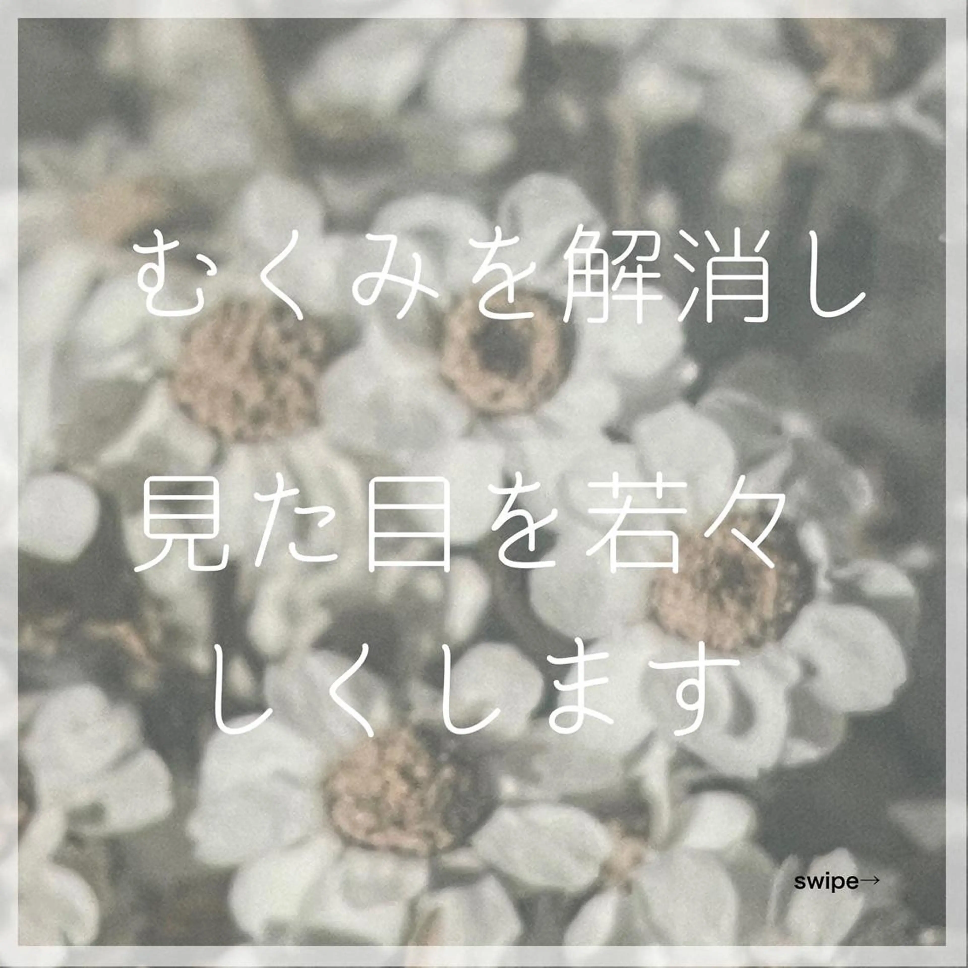 エステ リラク 髪/まつげ/眉/毛穴 ハーブ/他/AIKOのその他イメージ