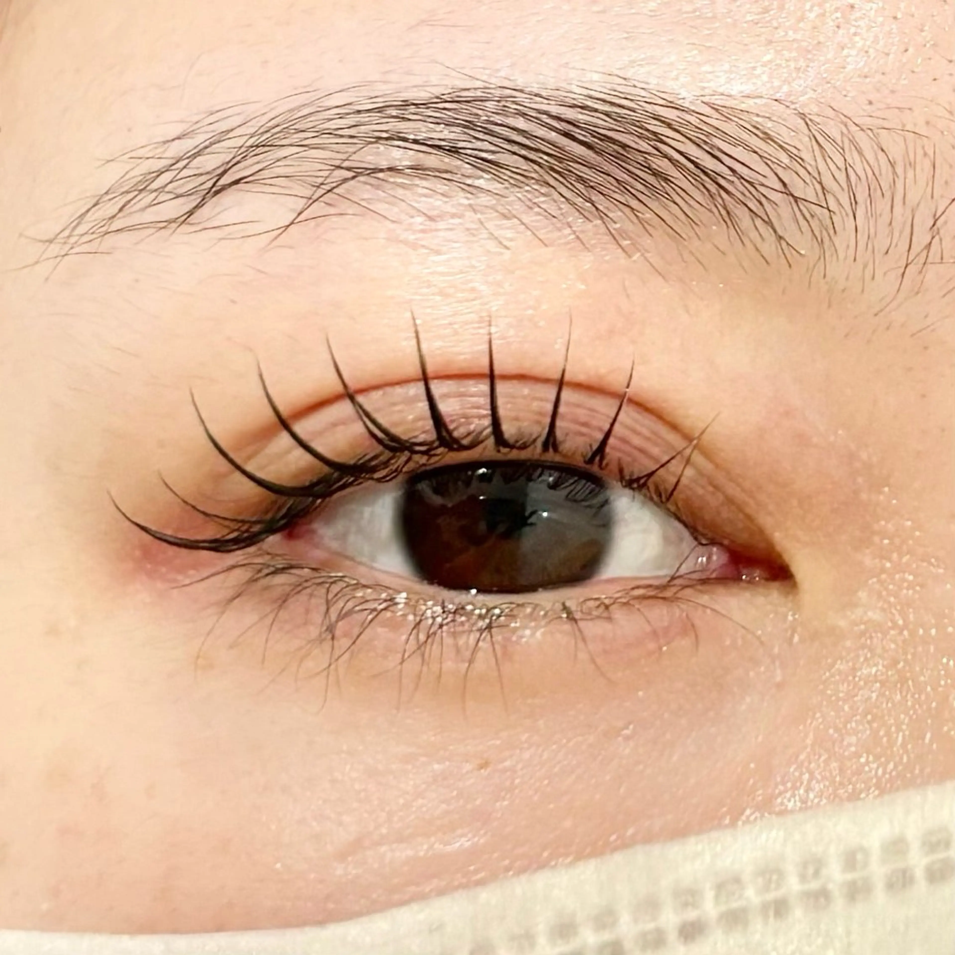 マツエク・マツパ grey aoiのマツエク・マツパデザイン