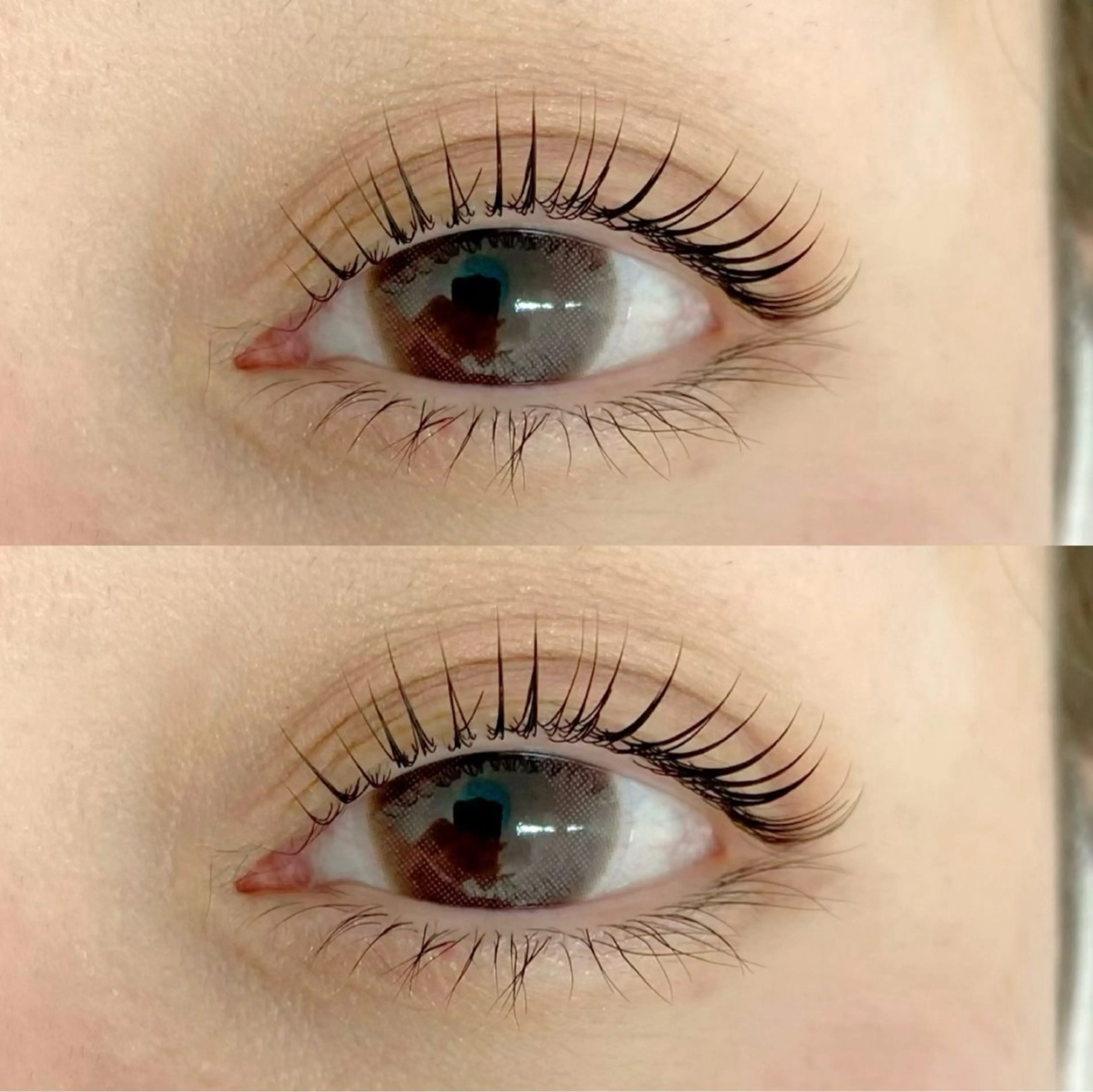 【ミニモ限定価格✨】ラッシュリフト(上)🪄アイシャンプー付きの写真