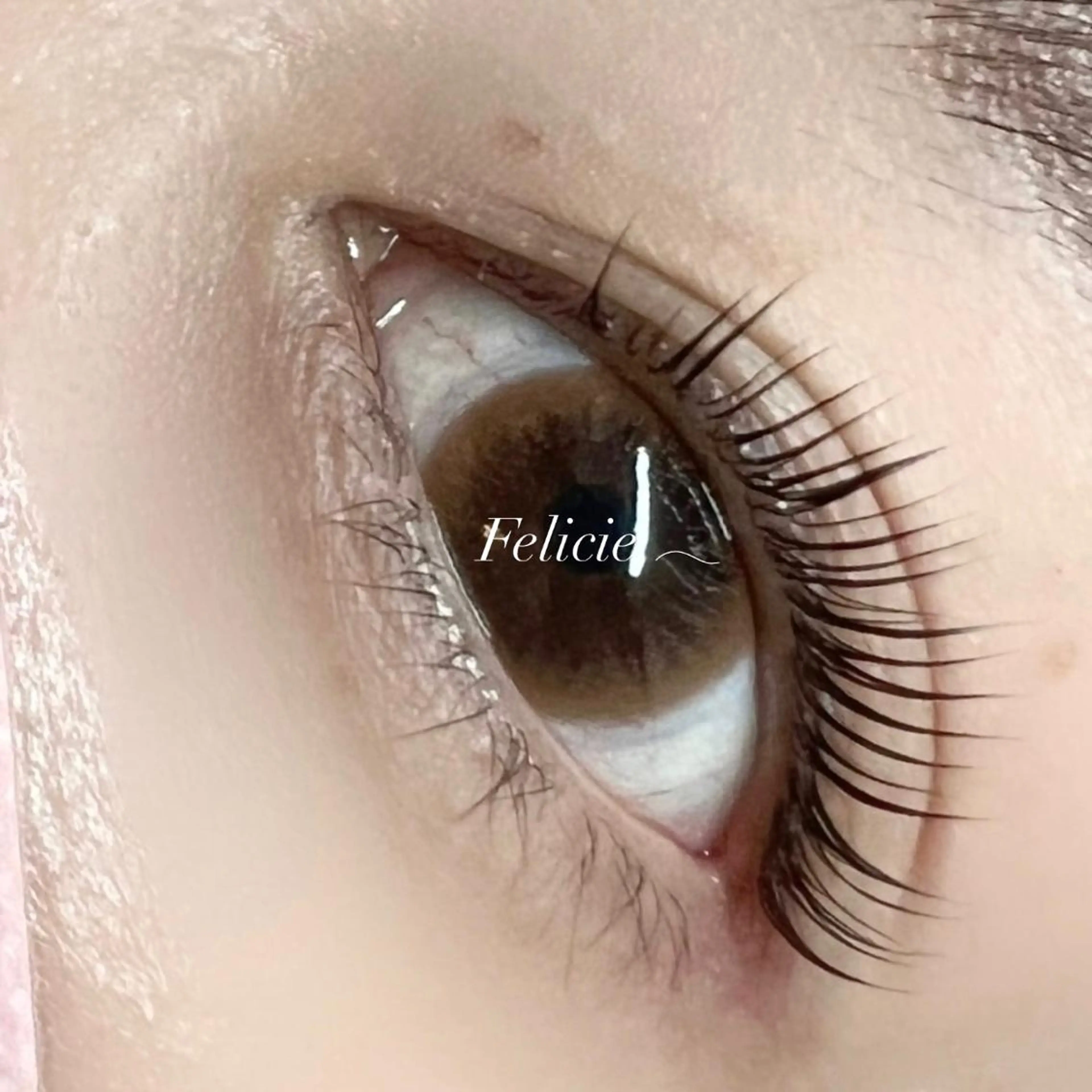 パリジェンヌラッシュリフト✨根元から立ち上げ✨(※再来様もこちらのクーポンお使い頂けます◎の写真