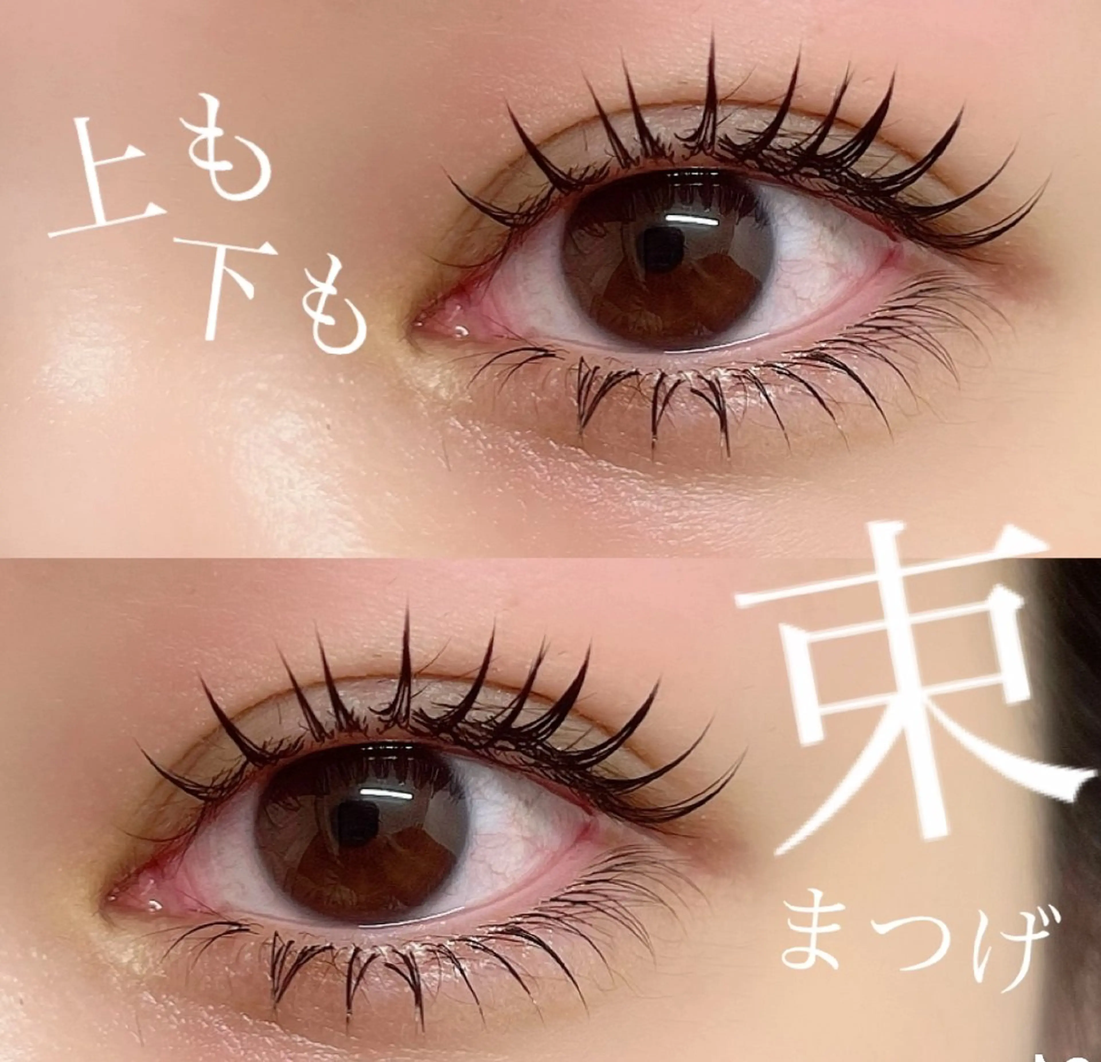 マツエク・マツパ foi by eyeartistsのマツエク・マツパデザイン