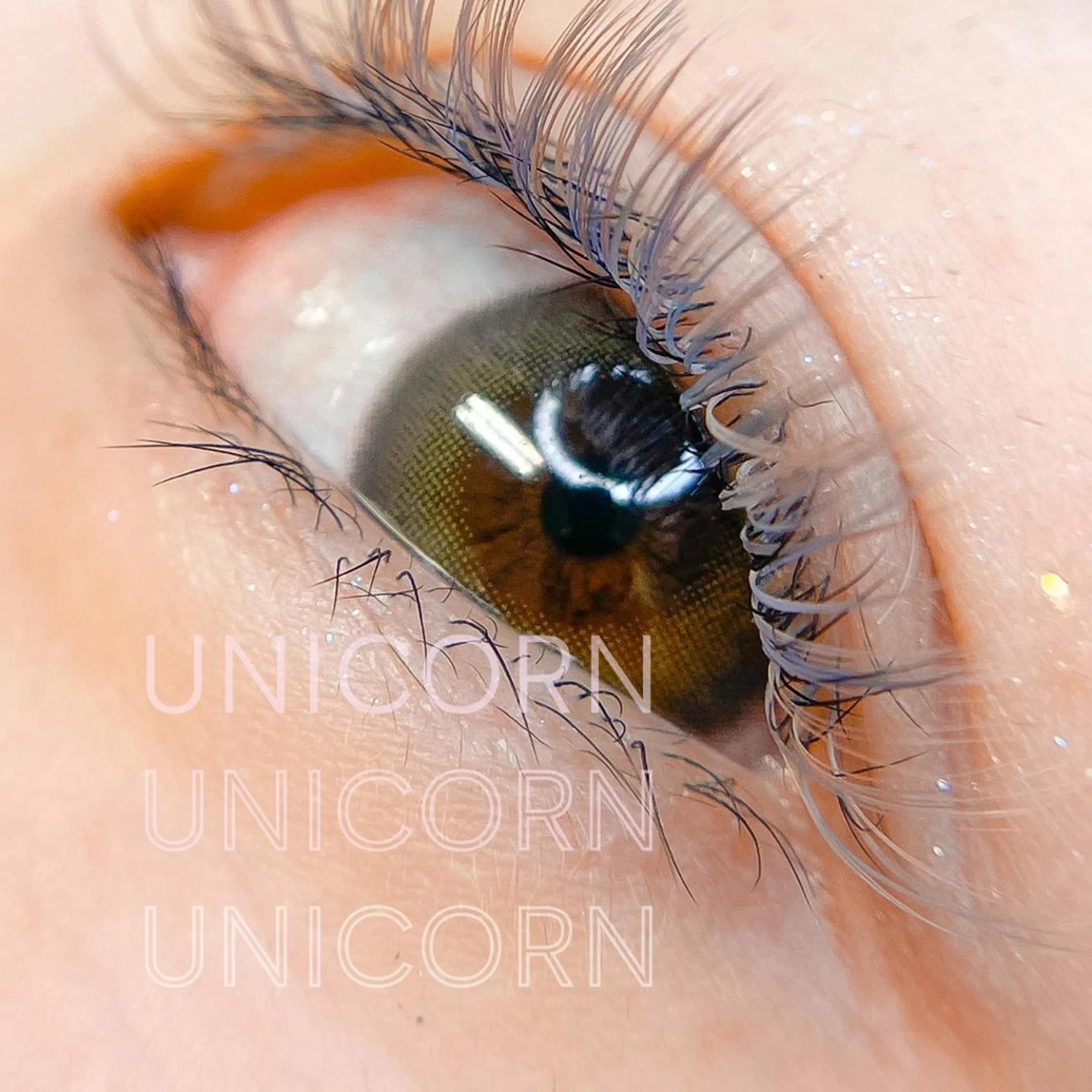 マツエク・マツパ 千葉中央/まつげ 大会日本一獲得のマツエク・マツパデザイン