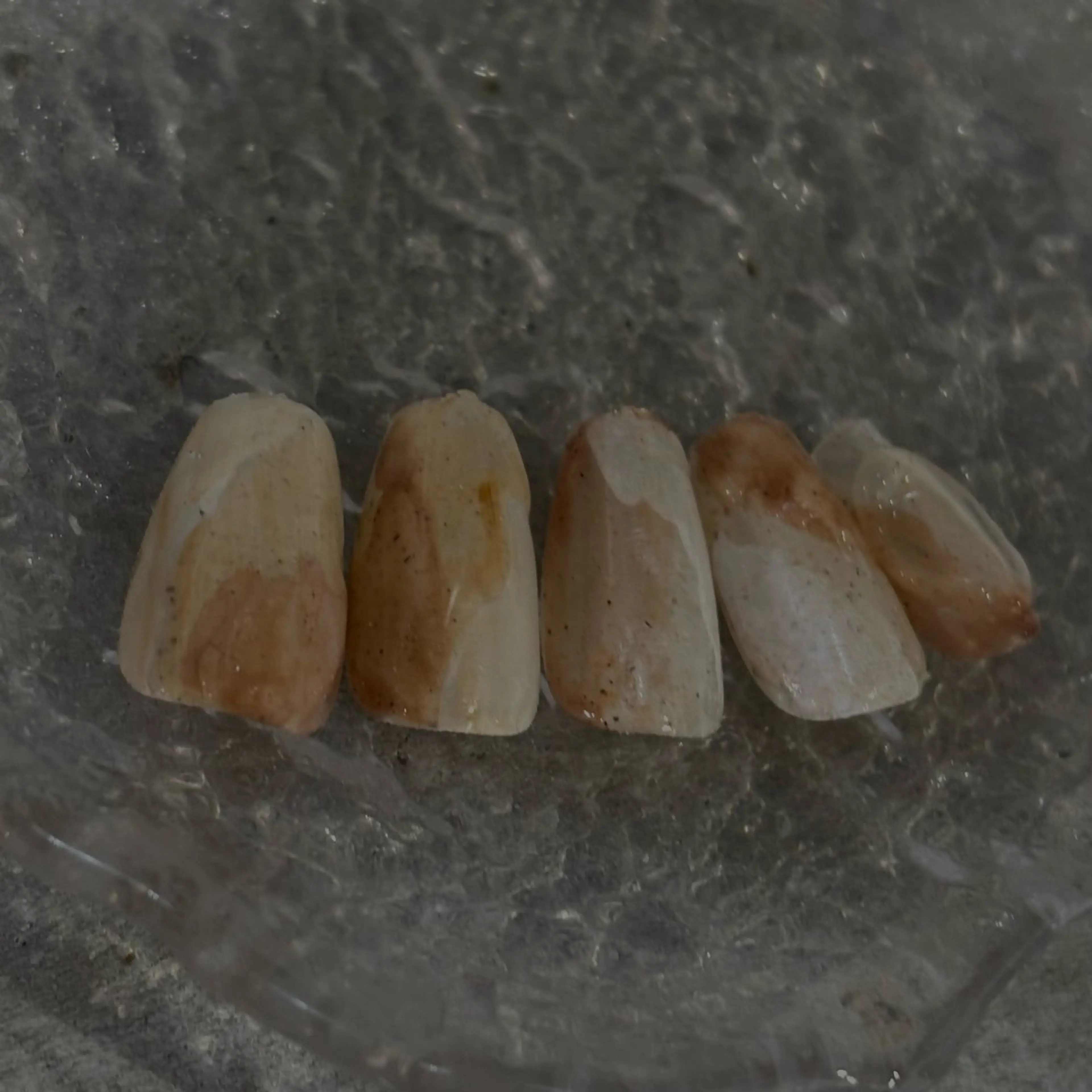 ネイル 長さ出し 韓国ネイル ニュアンスネイル オフィスネイル シンプルネイル Vante梅田店所属・vante_aimi .パラジェル取扱店のネイルデザイン