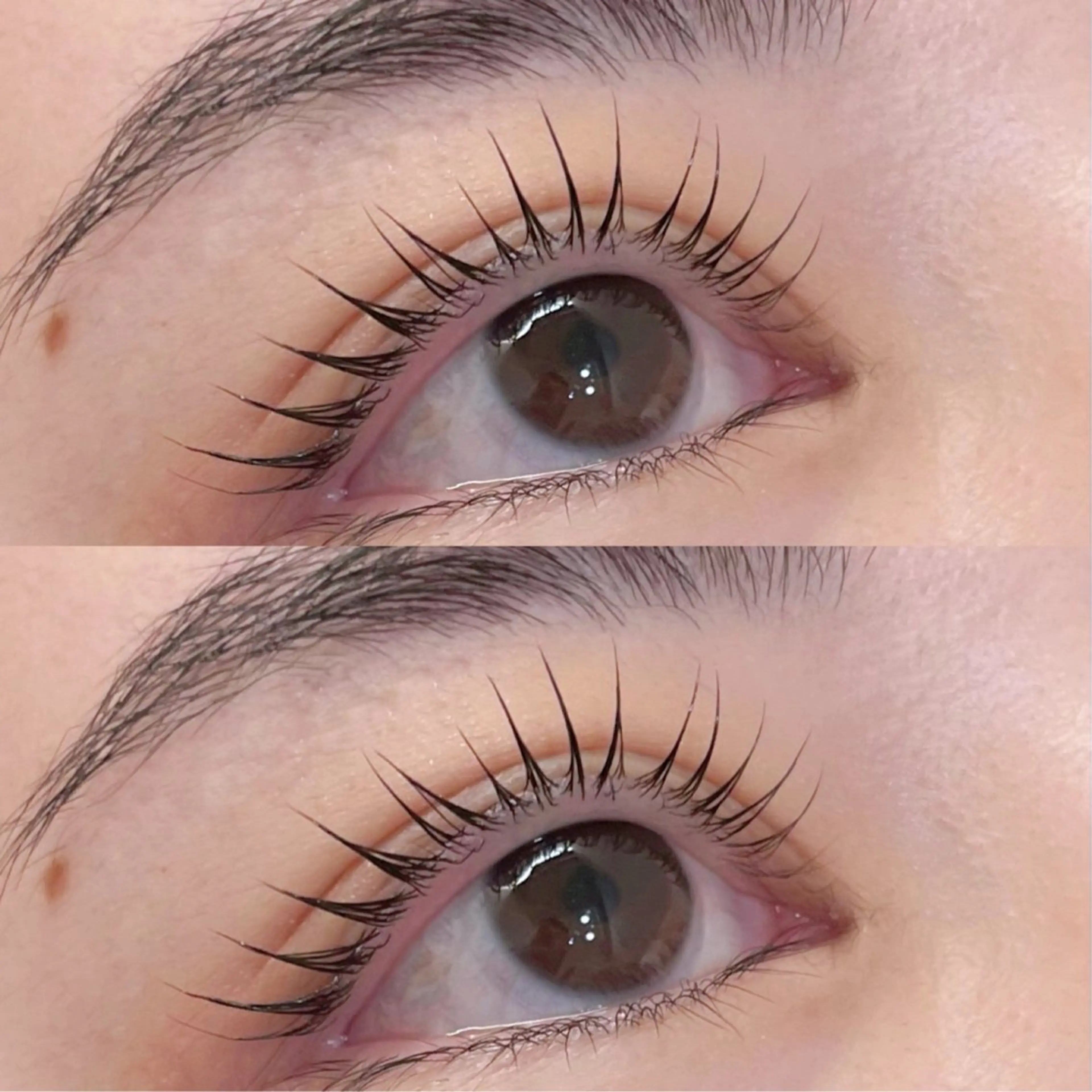 マツエク・マツパ マツパ coco / EYELAのマツエク・マツパデザイン