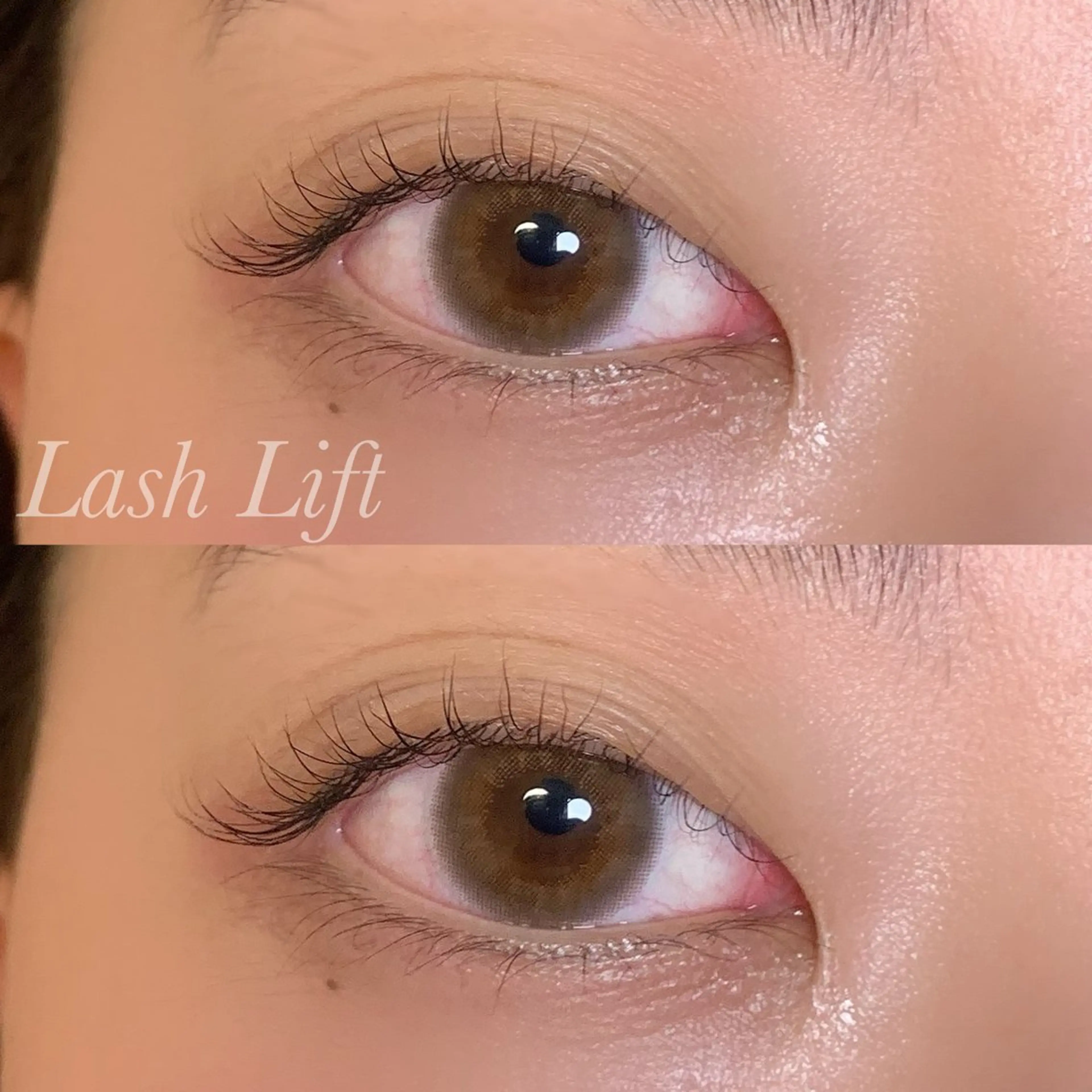 マツエク・マツパ まつげパーマ マツパ Ayumi.pro 🍆N《4階》のマツエク・マツパデザイン