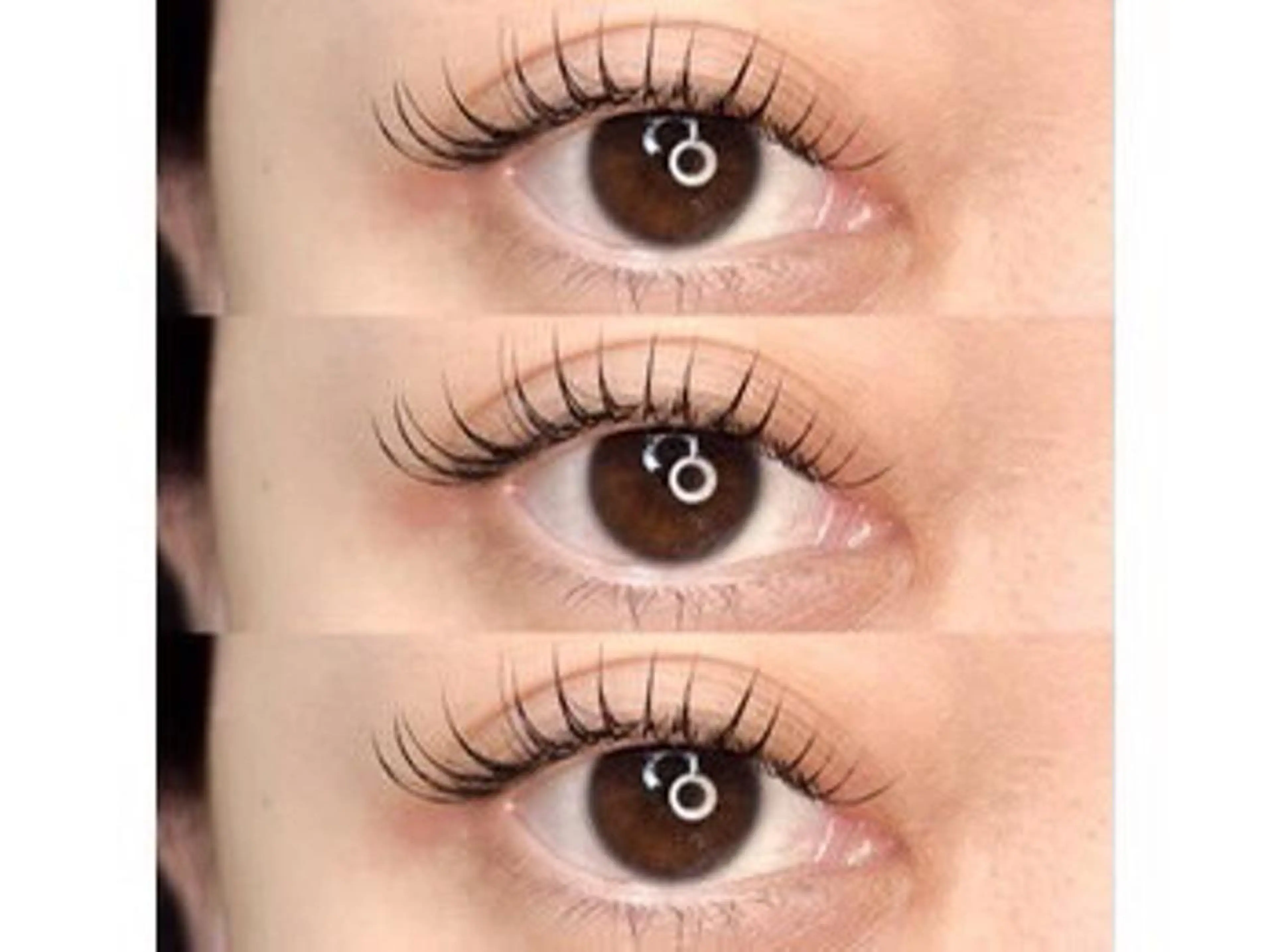 🌼フラットラッシュ100本🌼の写真