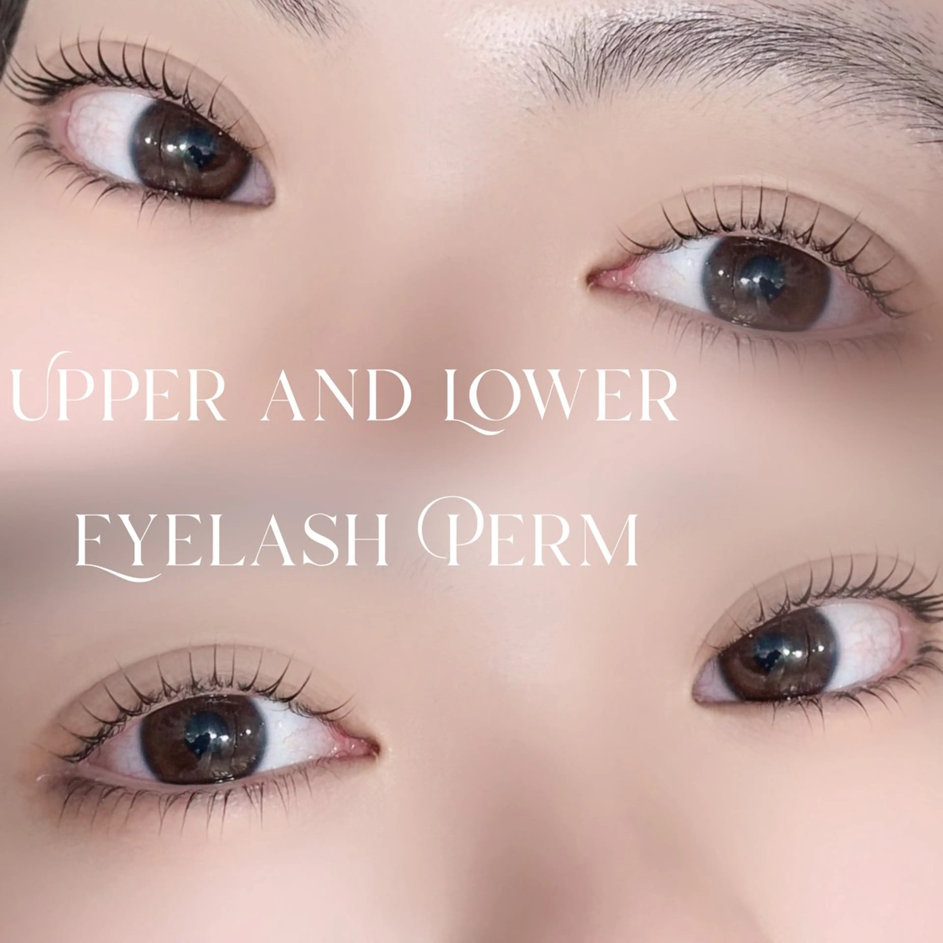 ãããšã¯ã»ããã ðð ð«ðšð° ððŠðšðŠðšã®ãããšã¯ã»ããããã¶ã€ã³