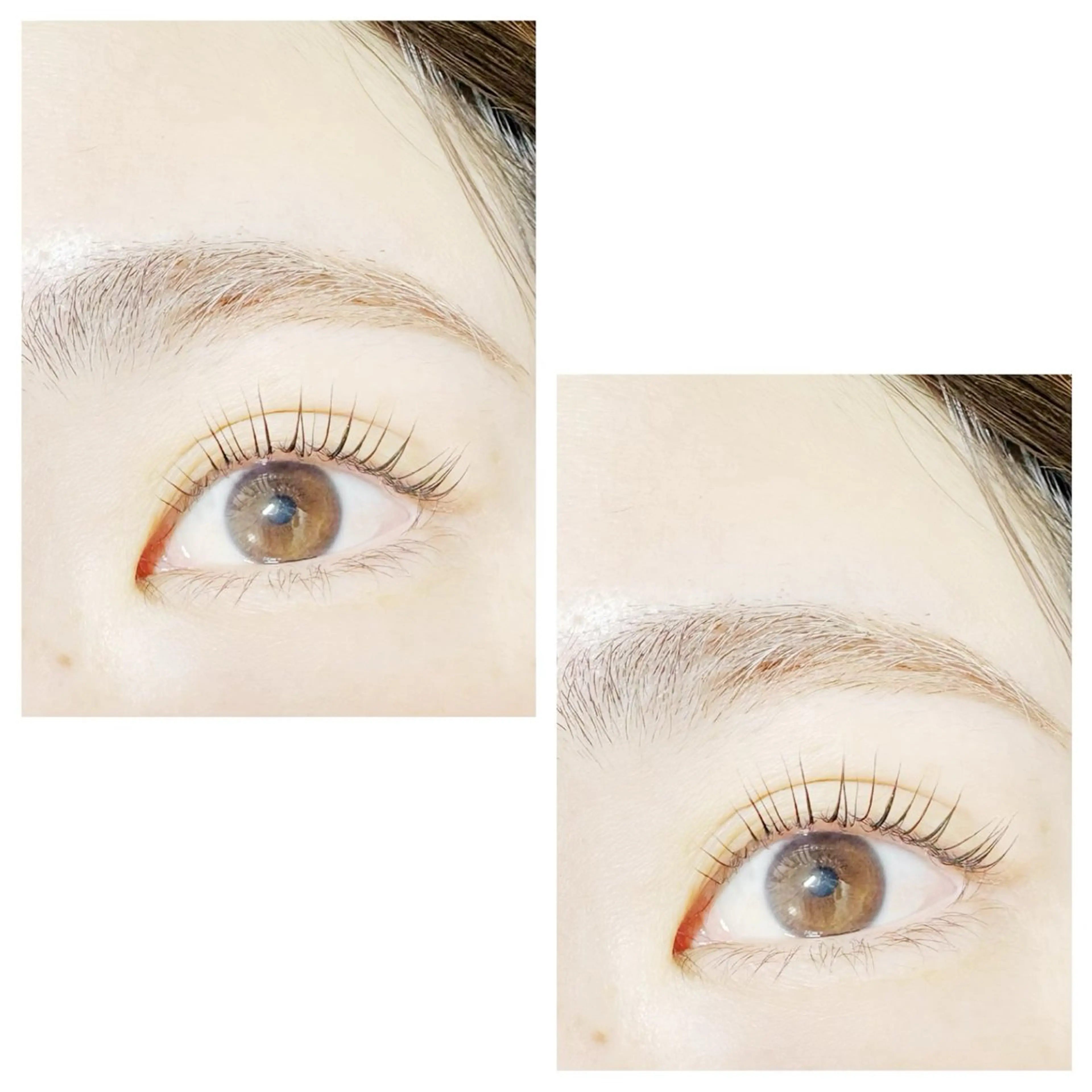 マツエク・マツパ 一重×まつ毛パーマ plume eyelashのマツエク・マツパデザイン