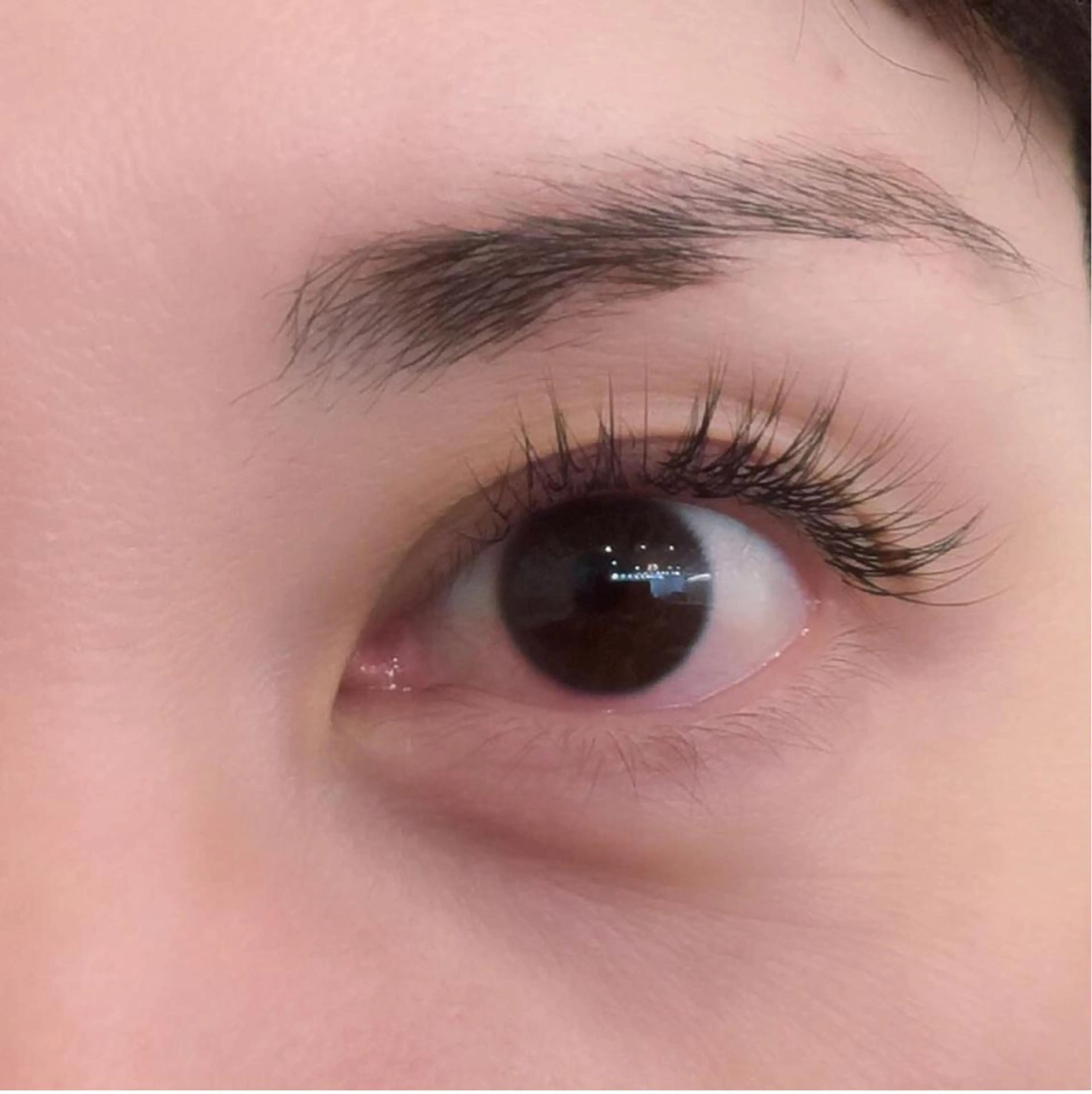 マツエク・マツパ Jカール アップワードラッシュ ナチュア岩塚第二所属・ナチュア 岩塚のマツエク・マツパデザイン