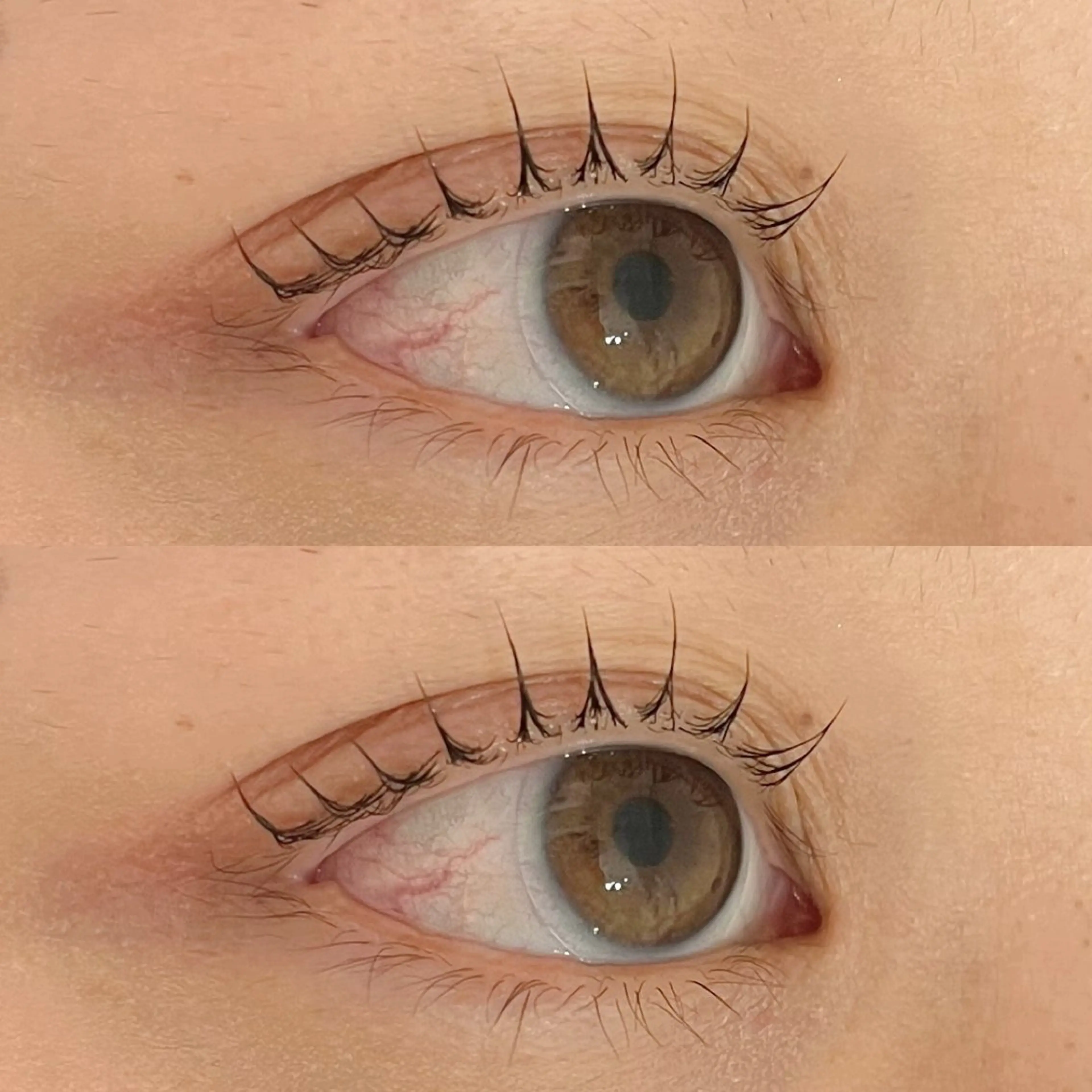 ⚠️こちらのメニューは予約できませんの写真