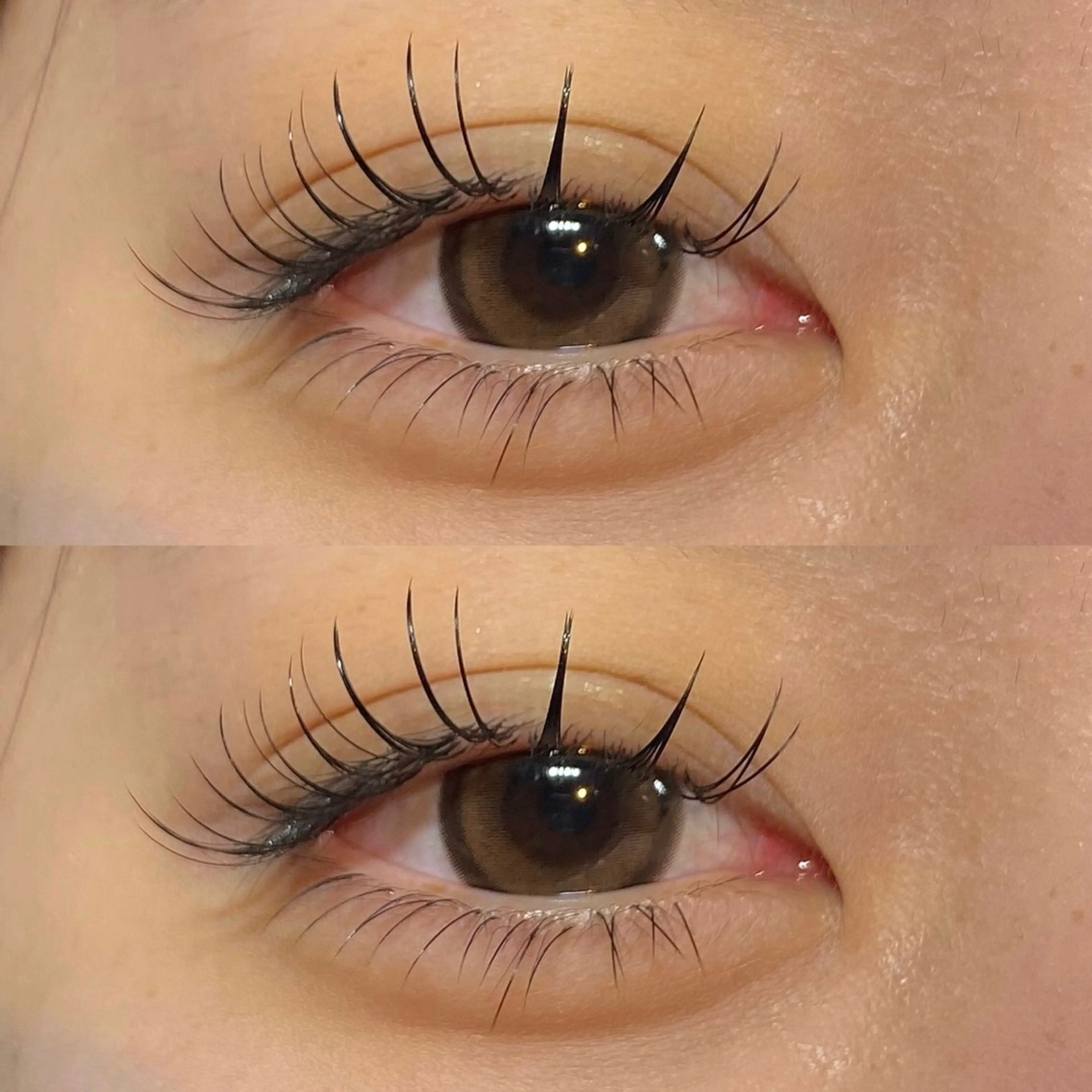 フラットラッシュ140​〜​160本の写真