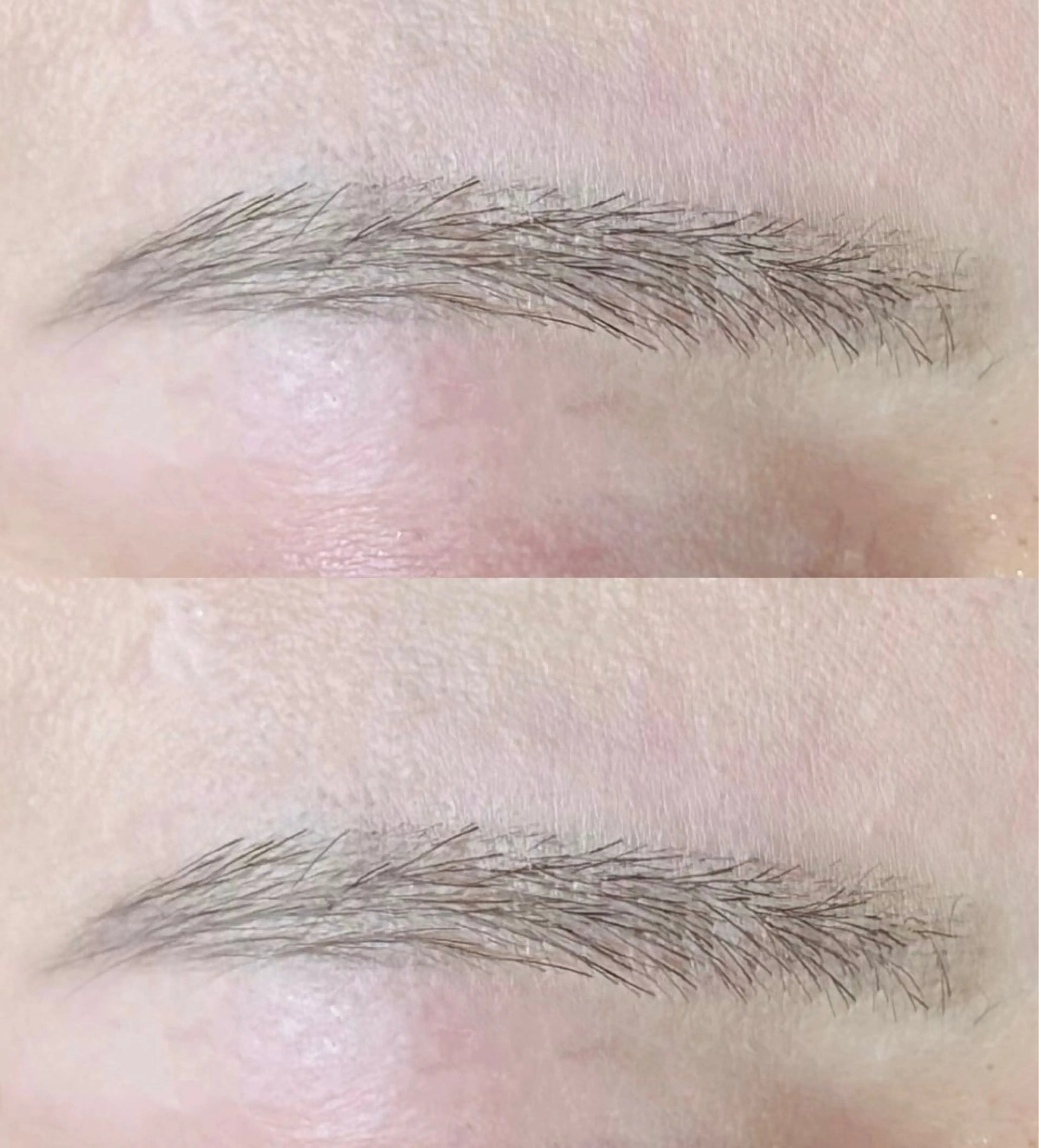 アイブロウ 岡田 ももこの眉毛・アイブロウイメージ