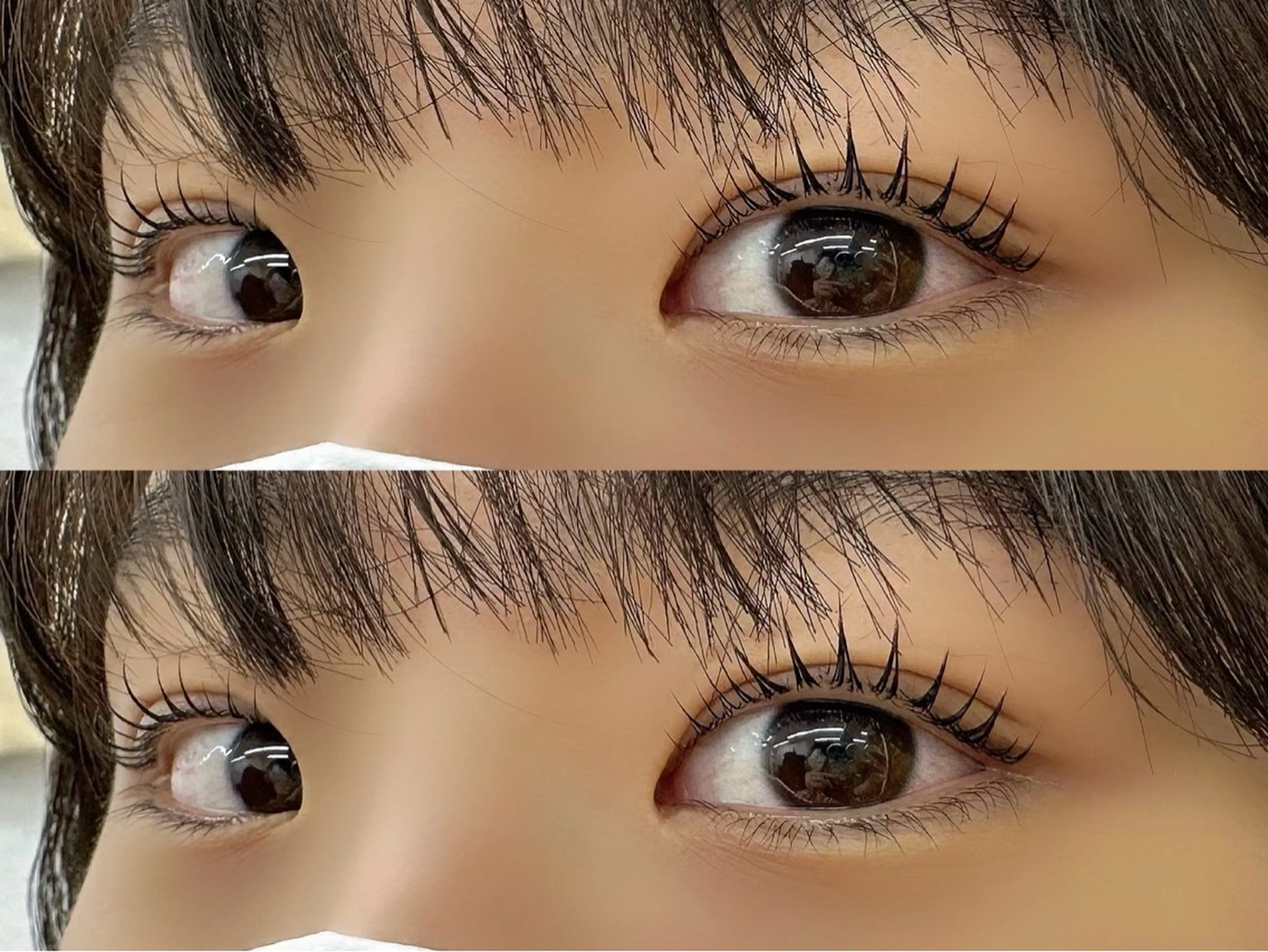 新規限定💙まつげパーマ💙の写真