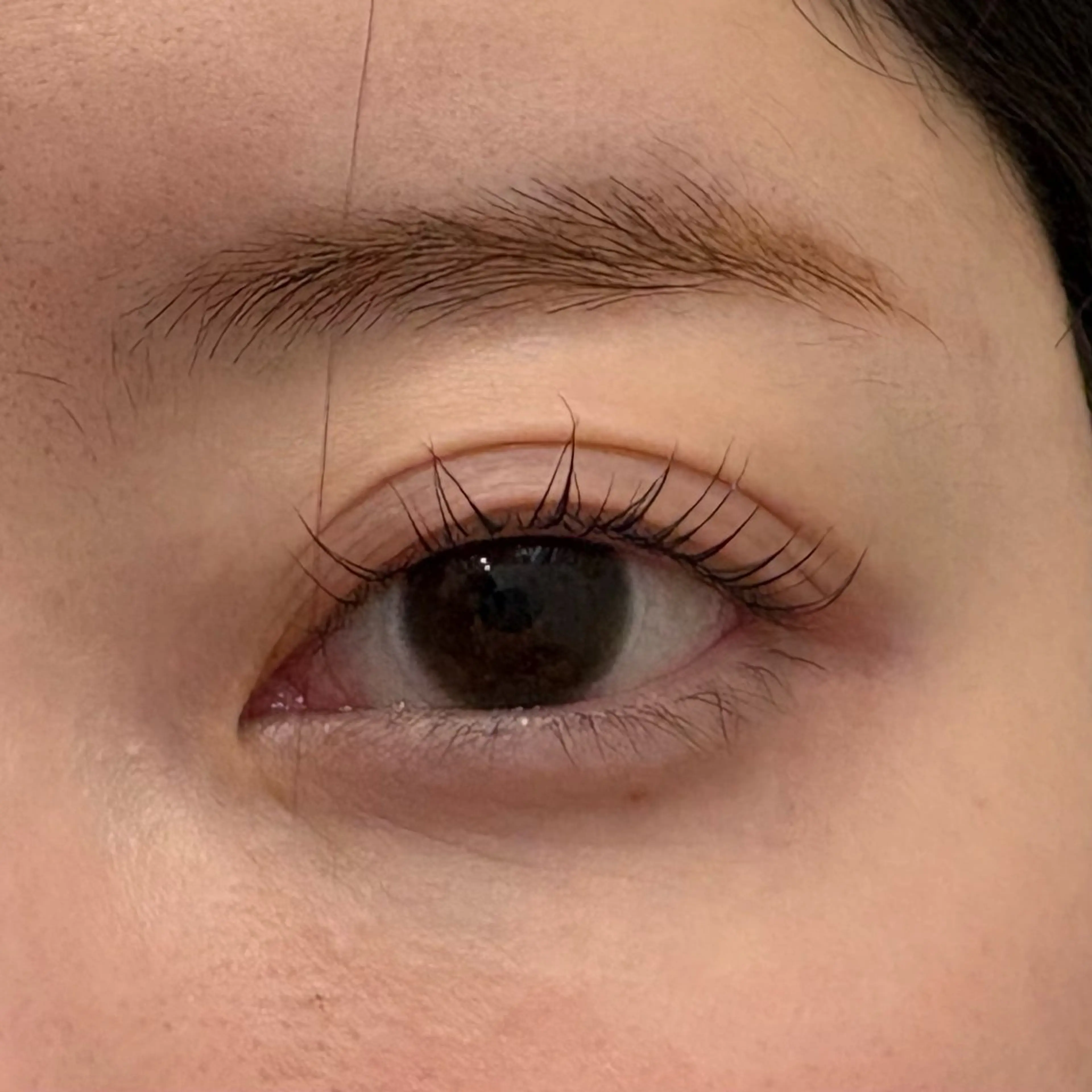 マツエク・マツパ パリジェンヌラッシュリフト 🤍 miriaのマツエク・マツパデザイン