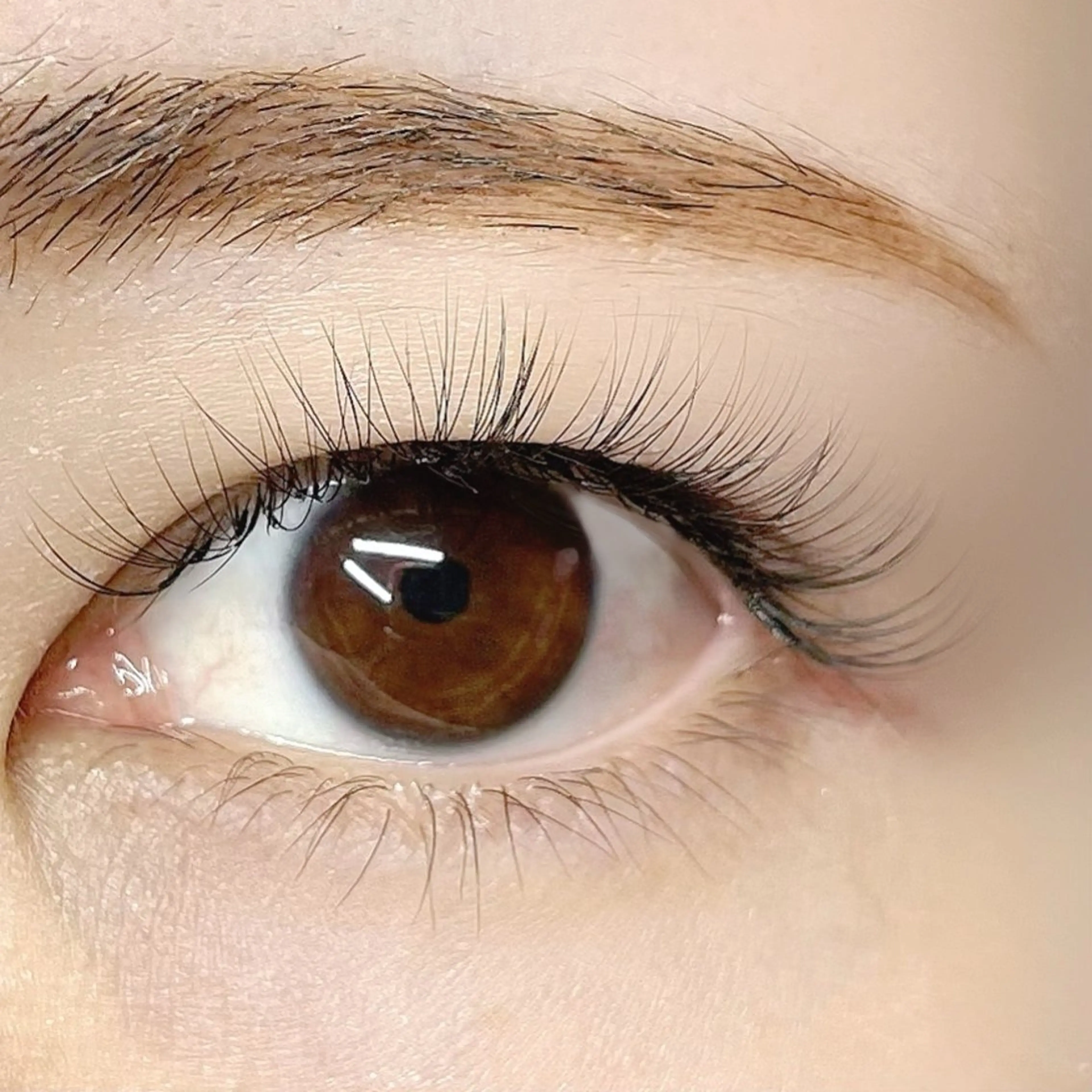 🎀ボリュームラッシュ180束🎀オフありorオフなしご記入ください🙇‍♀️✨の写真