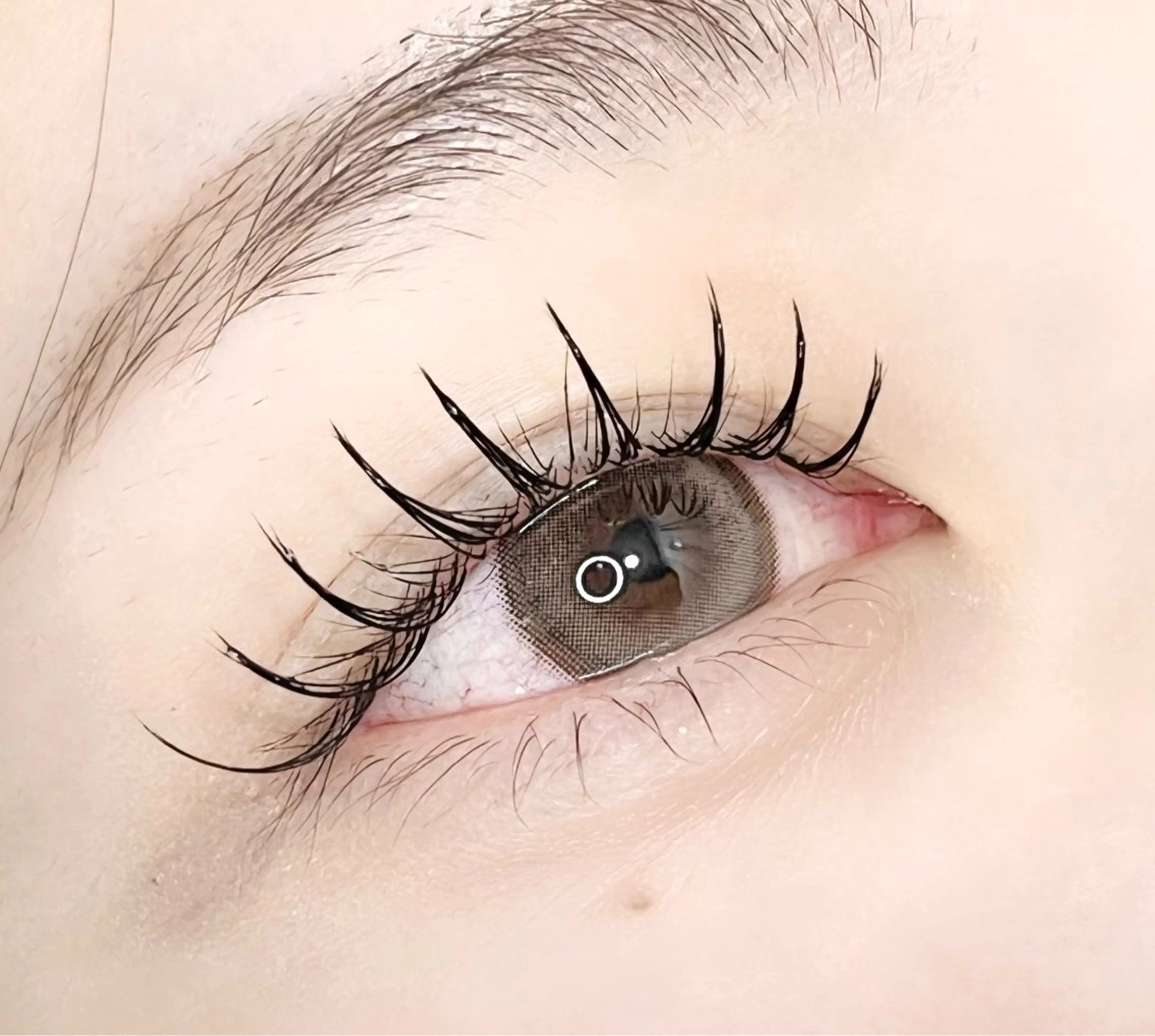 🉐ご新規3名様限定🉐マツエク120本🤍口コミ約束🤍の写真