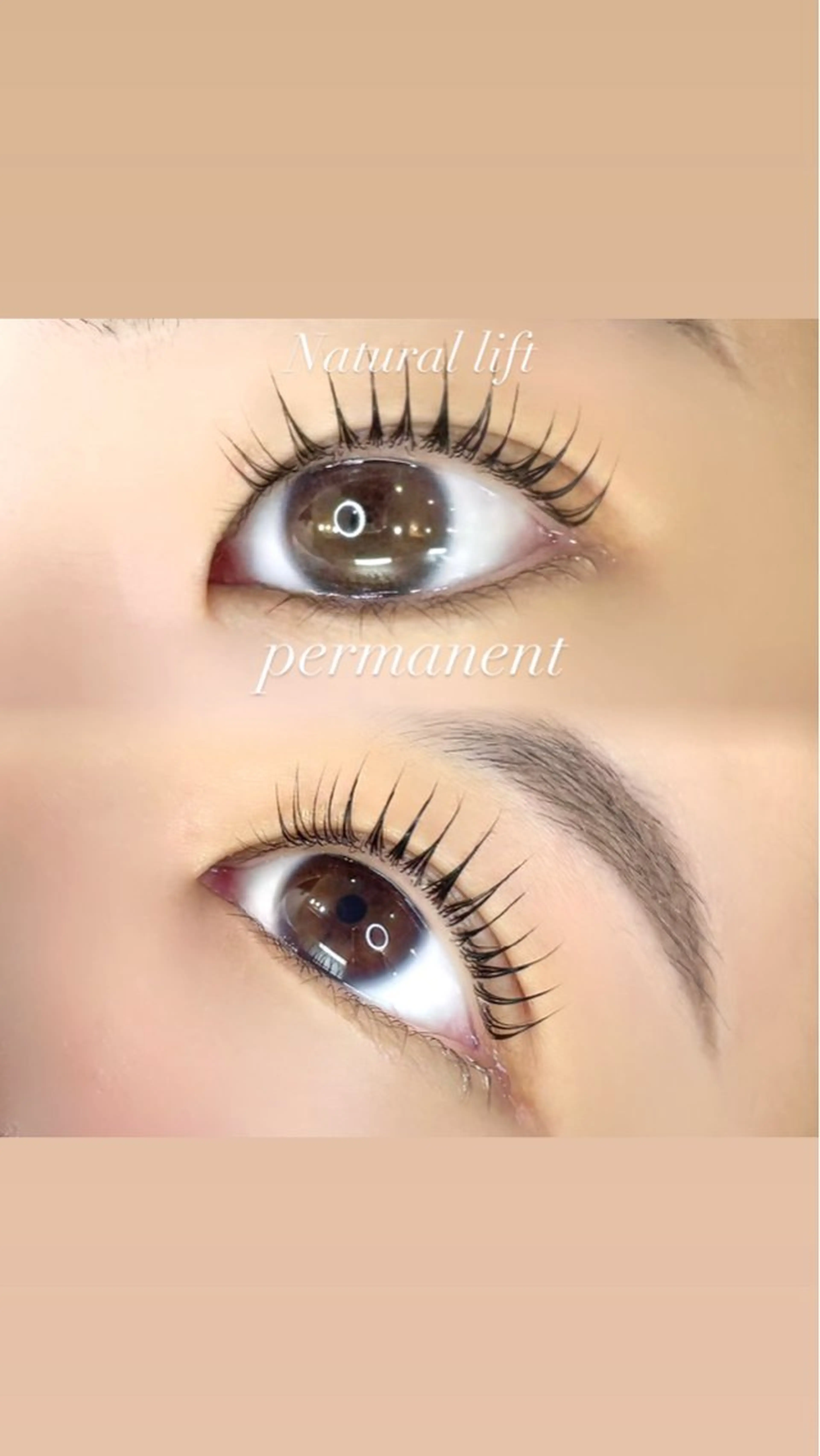 ミニモ限定料金💟ラッシュリフト𝗈𝗋パリジェンヌ💟新規の方のみ⚠️の写真