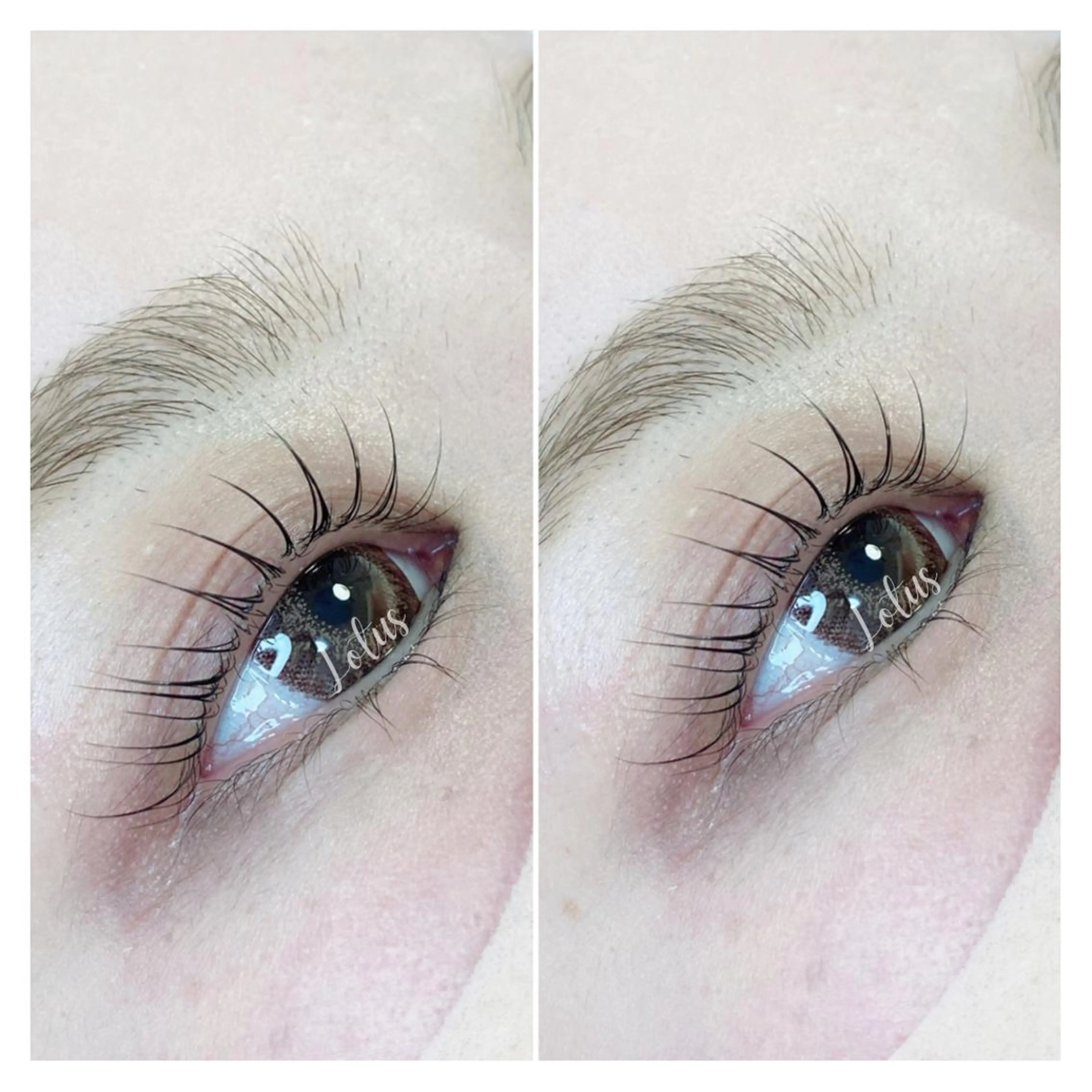 マツエク・マツパ マツパ Lotus所属・Lotus ロータスのマツエク・マツパデザイン