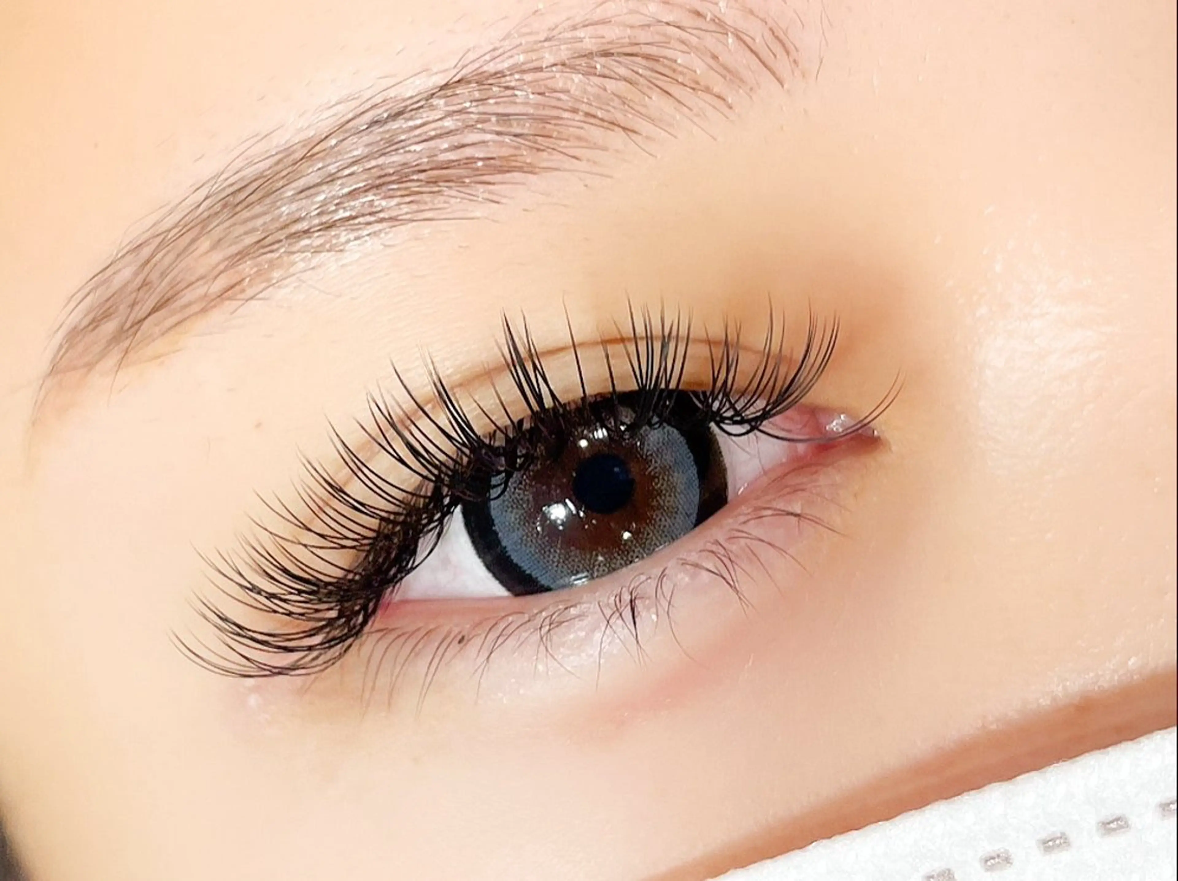 バインドロック 100束の写真