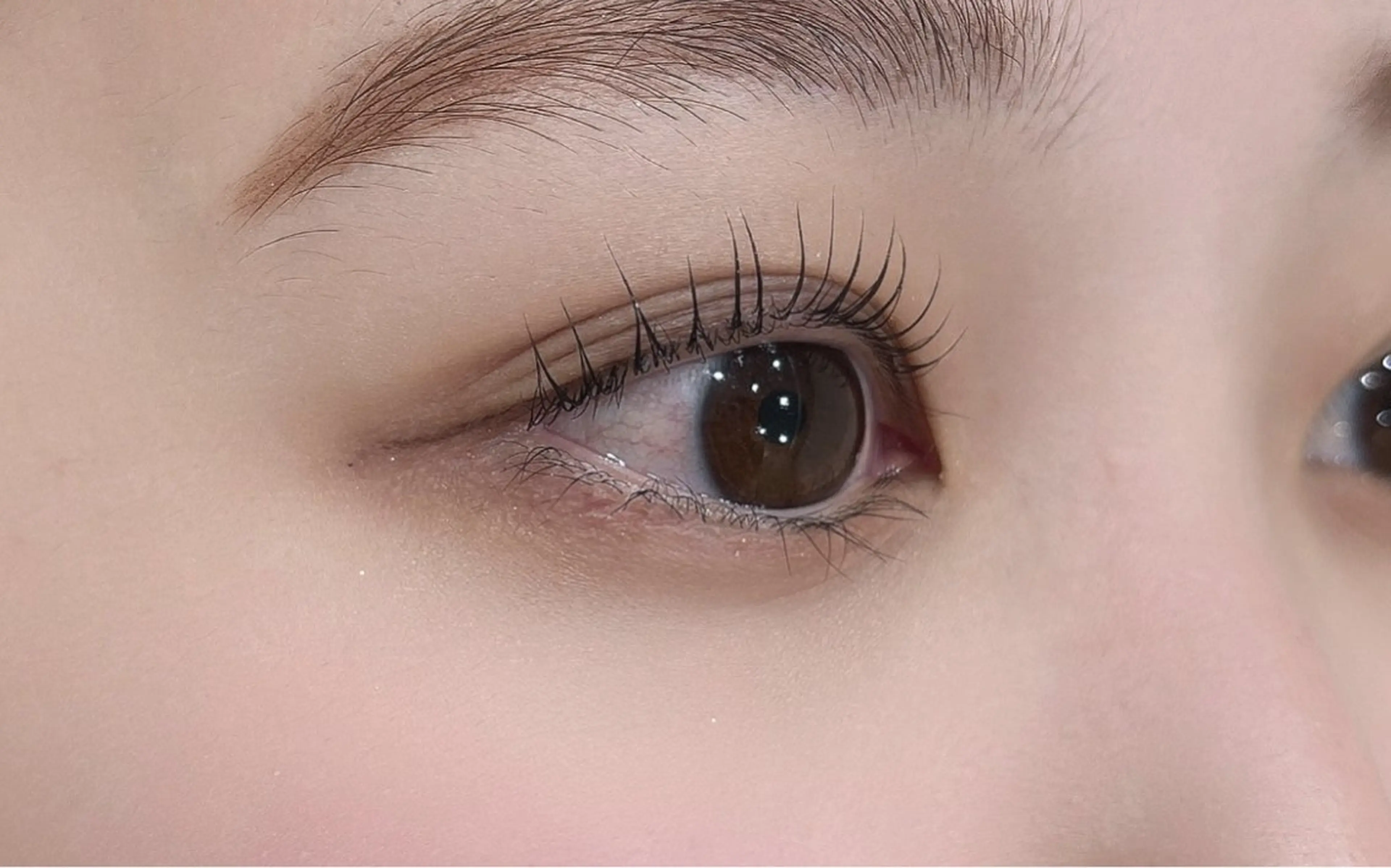 マツエク・マツパ パリジェンヌラッシュリフト une FEMINの眉毛・アイブロウイメージ