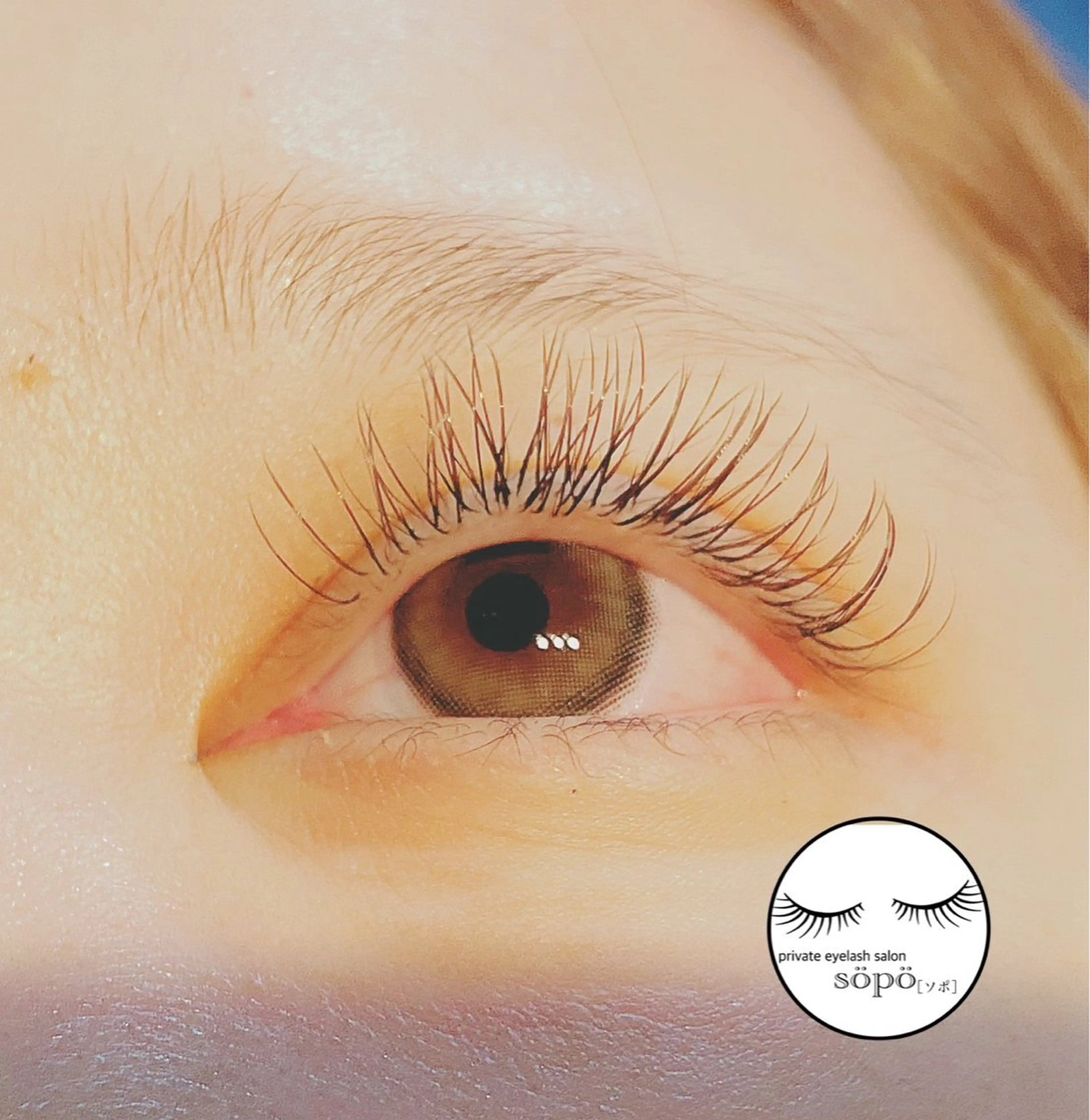 マツエク・マツパ Dカール private　eyelash　salon　söpö所属・まつげサロン söpö  ソポのマツエク・マツパデザイン